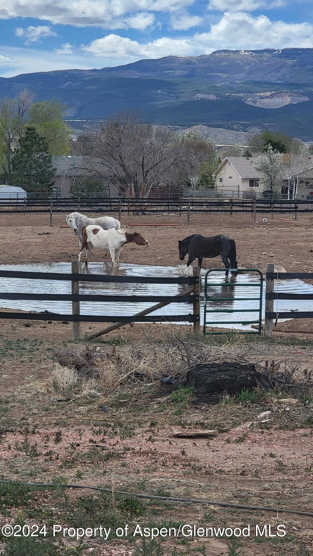 13011 Alboe Lane Property Photo 25
