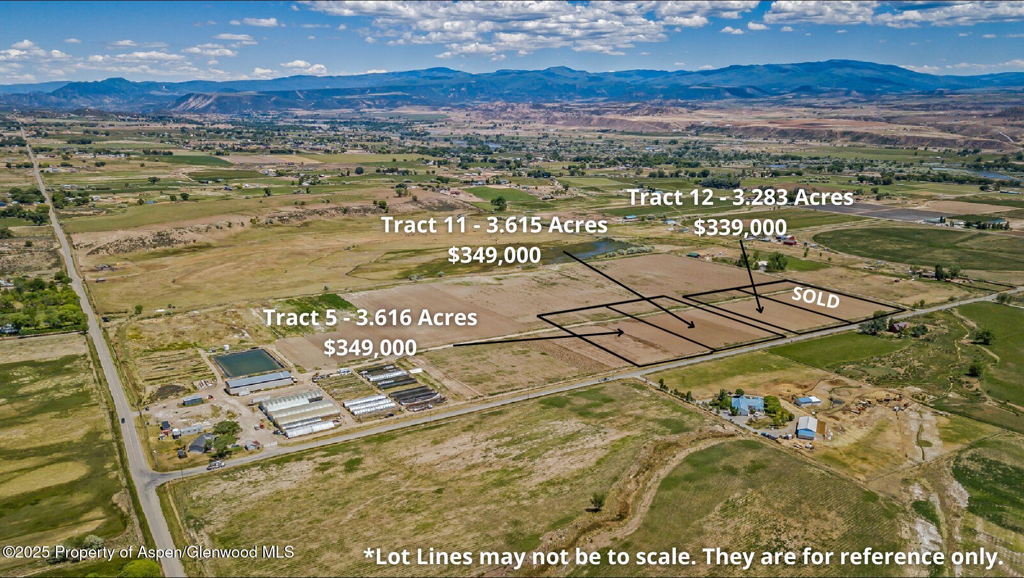 1404 223 County Rd Road, Tract 11 Property Photo 4