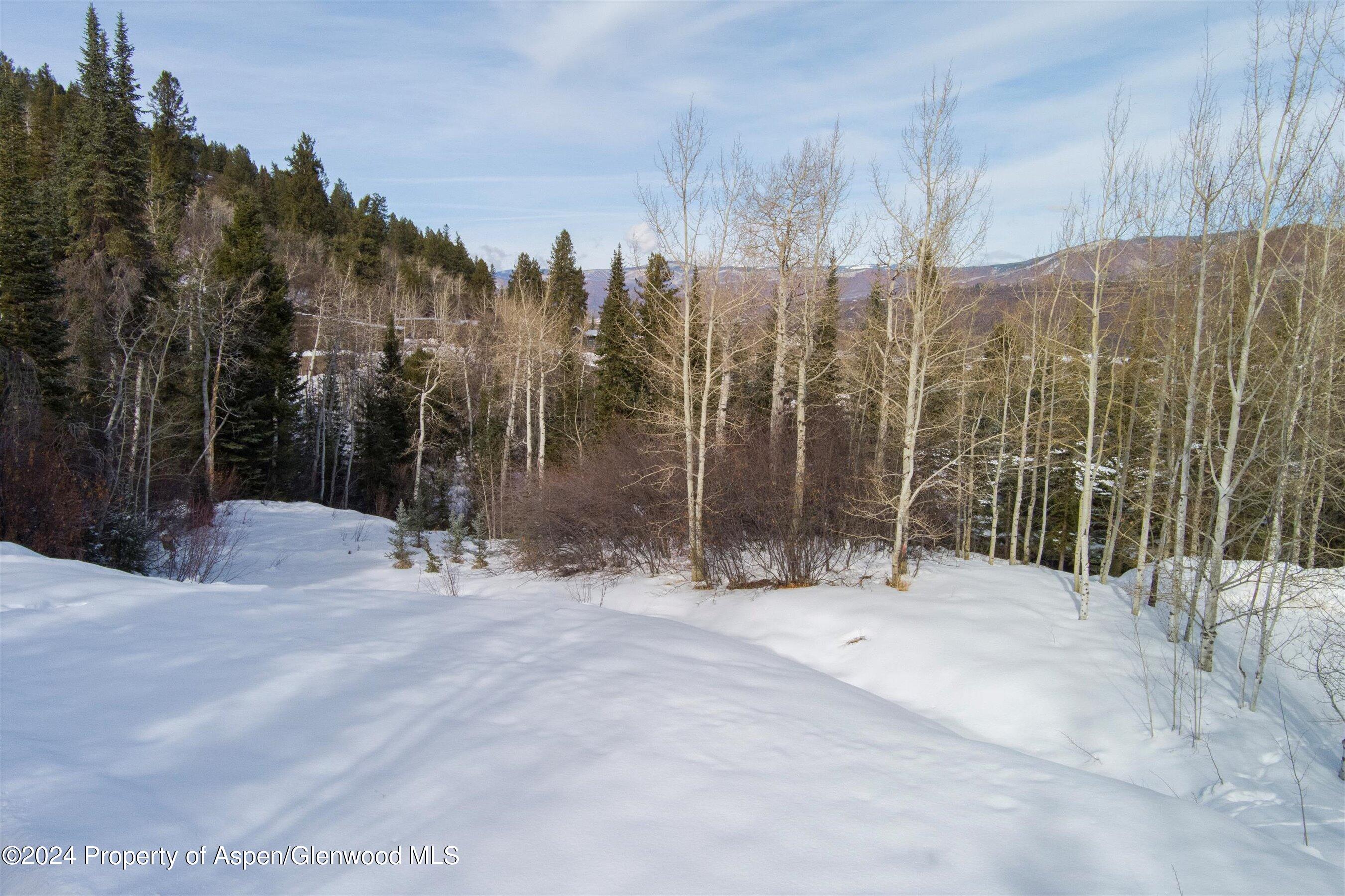 Tbd Pfister Drive Property Photo 10