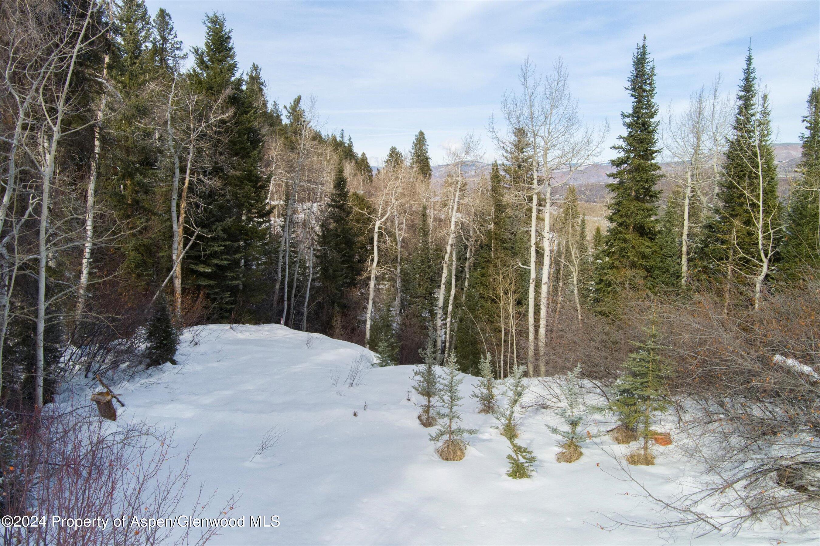 Tbd Pfister Drive Property Photo 12