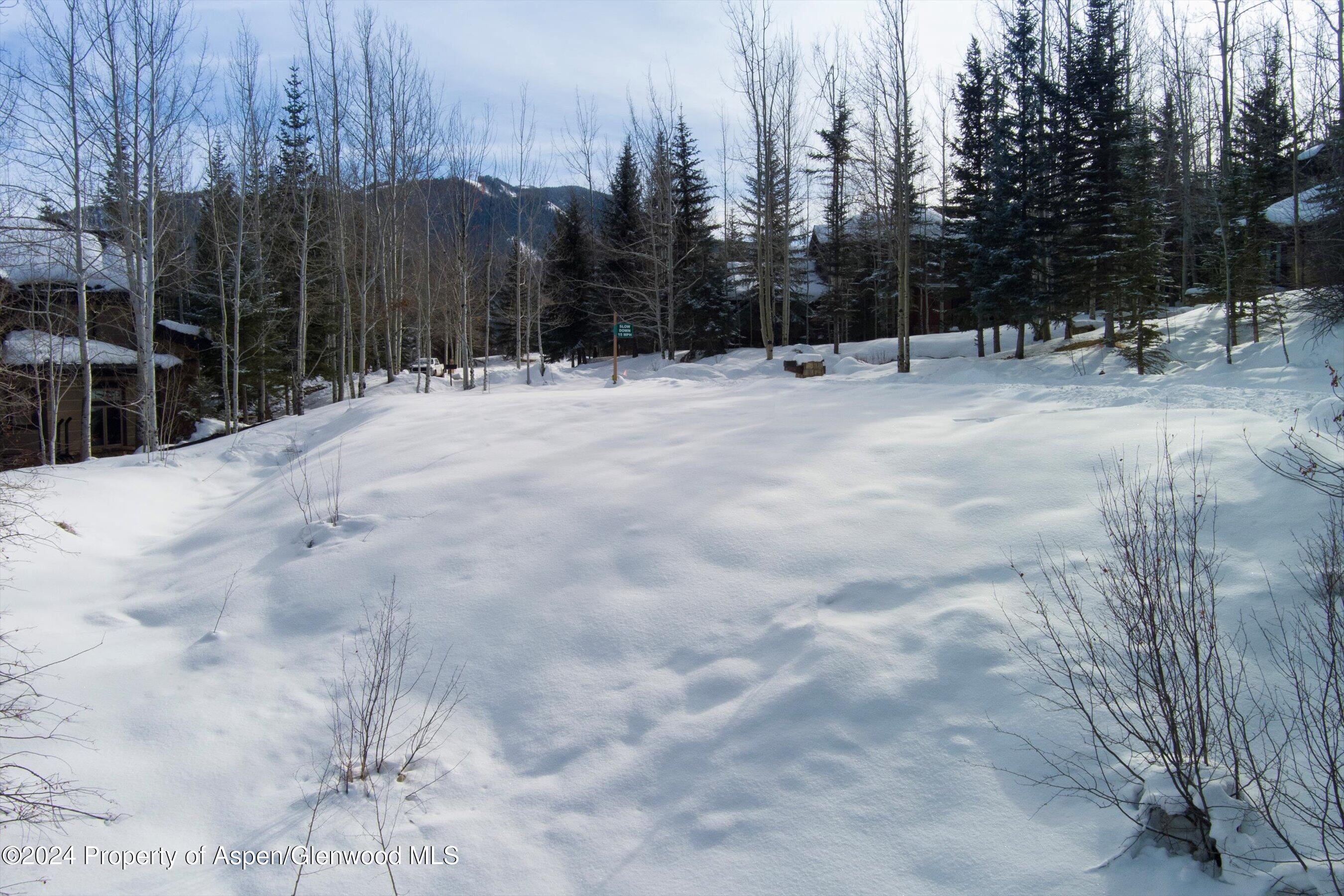 Tbd Pfister Drive Property Photo 13