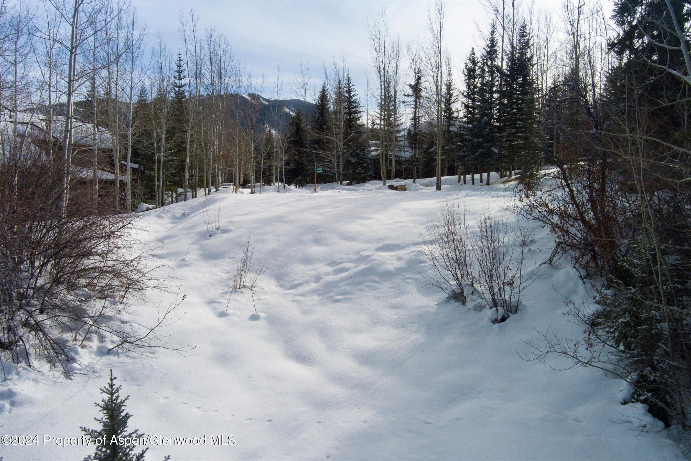 Tbd Pfister Drive Property Photo 14