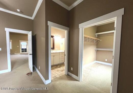 2095 County Road 245 Property Photo 20