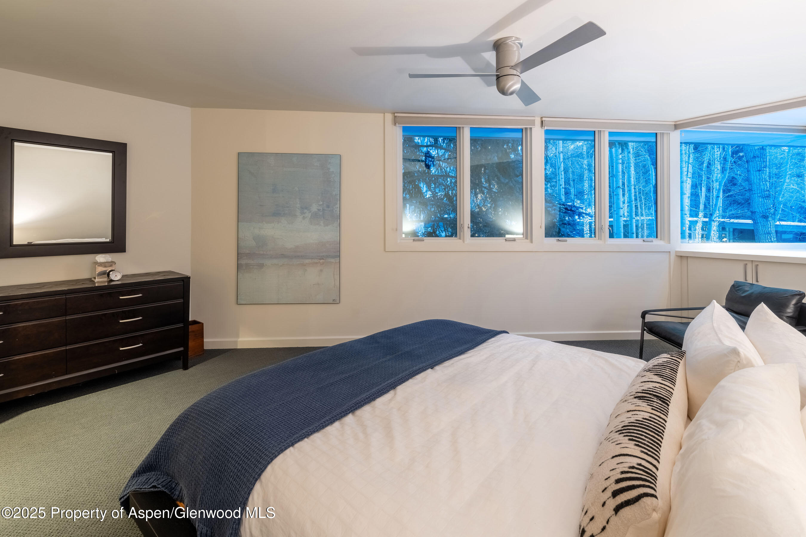 506 W Hallam Street Property Photo 29