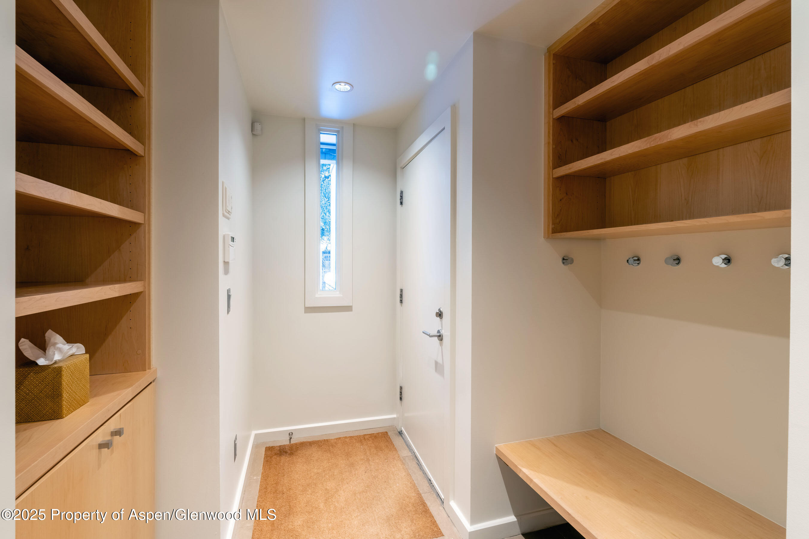 506 W Hallam Street Property Photo 60
