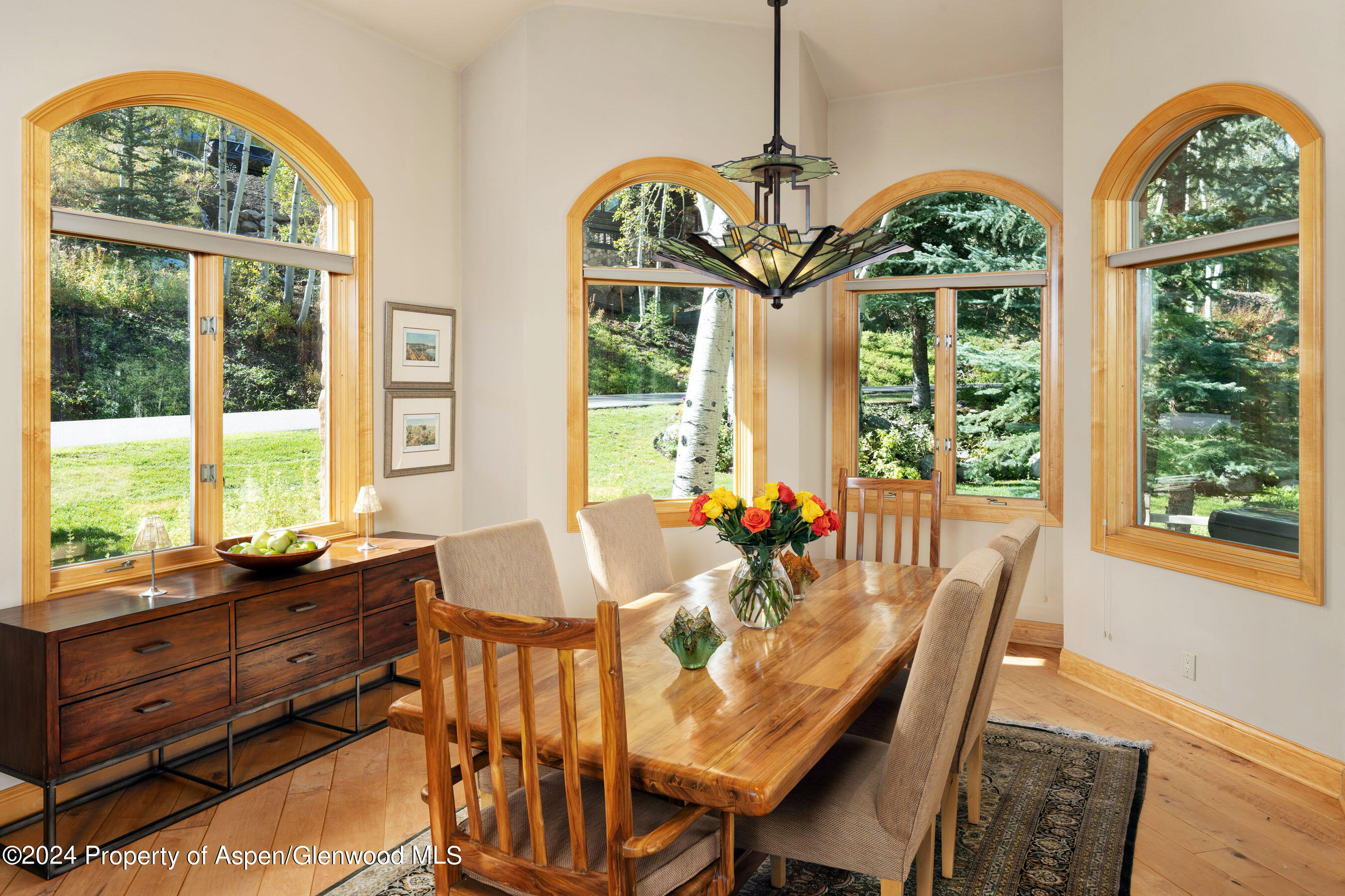 221 Stellar Lane Property Photo 14