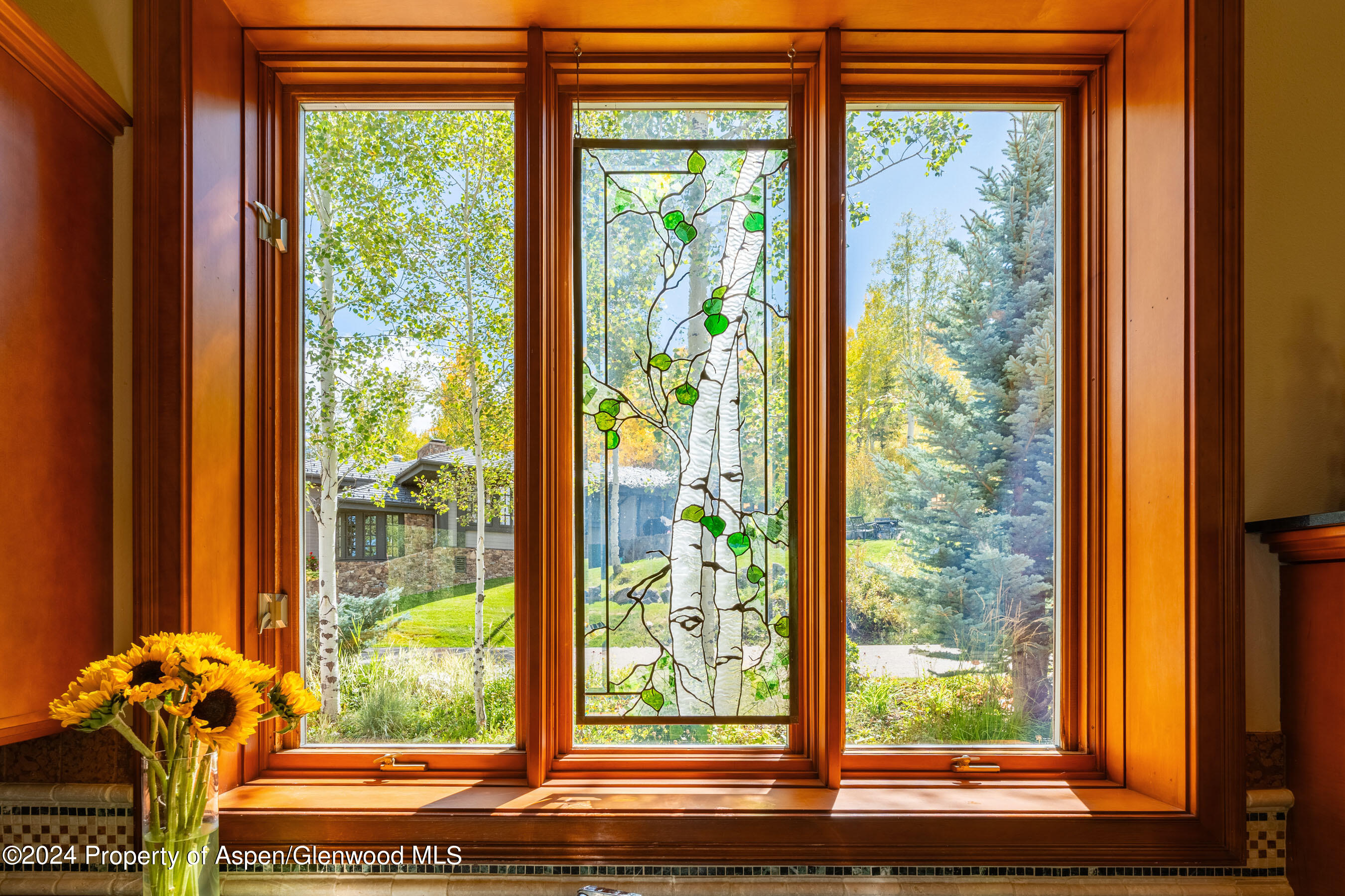 221 Stellar Lane Property Photo 15