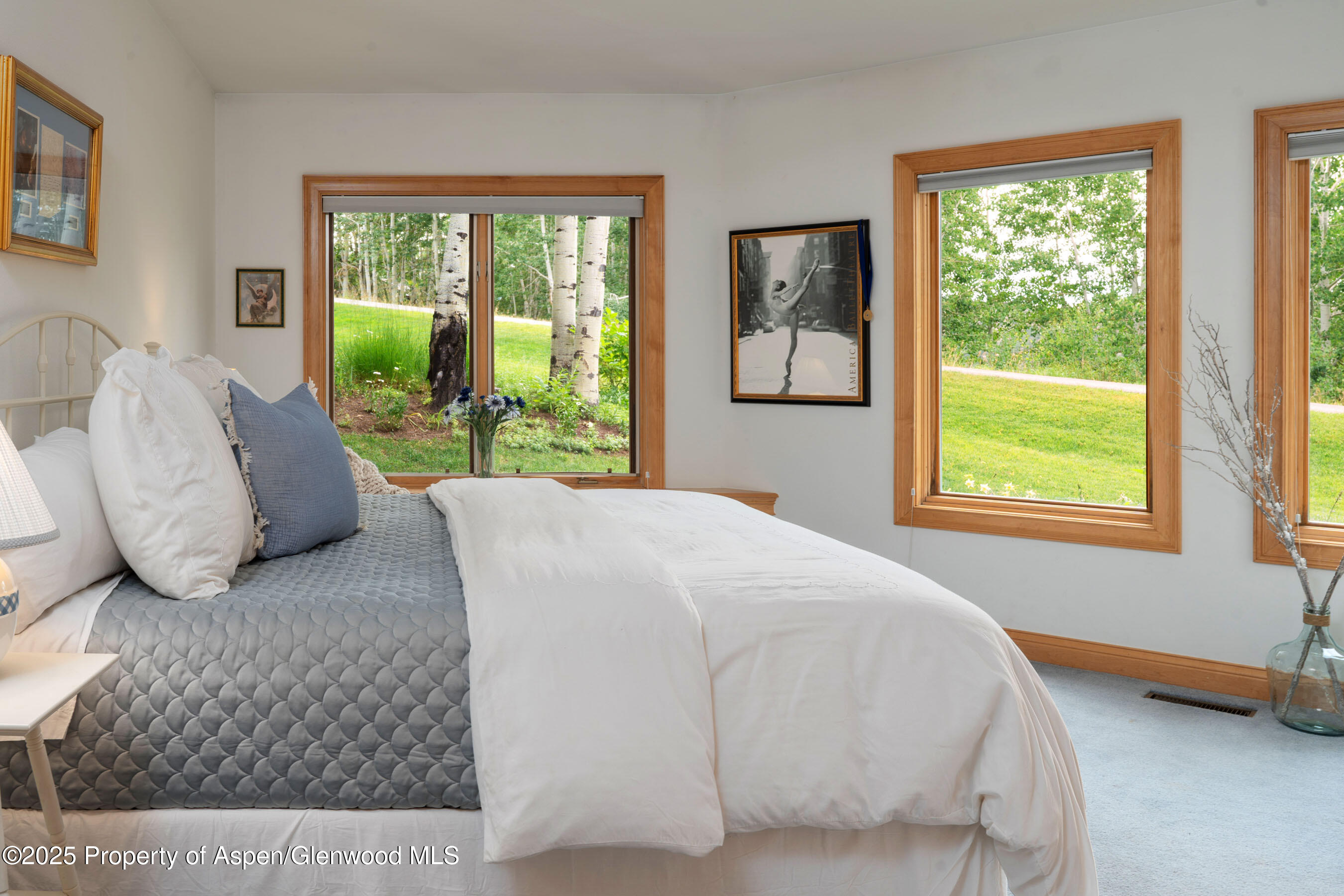 221 Stellar Lane Property Photo 29