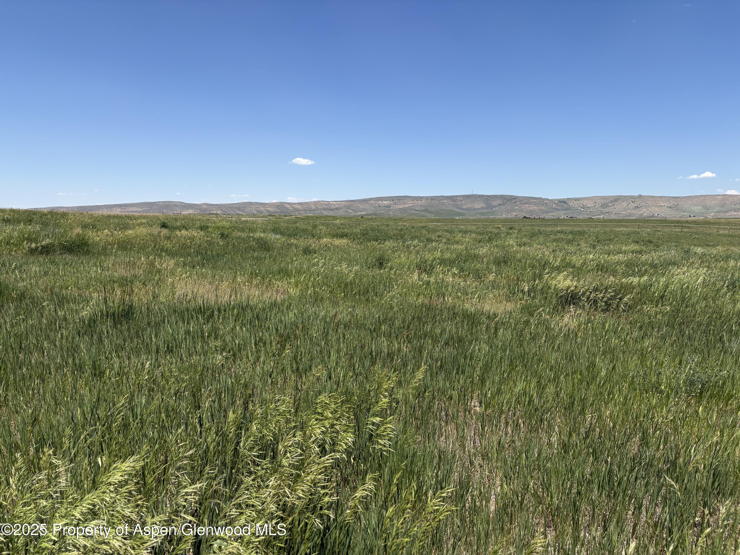 38300 Cattails Court Property Photo 1