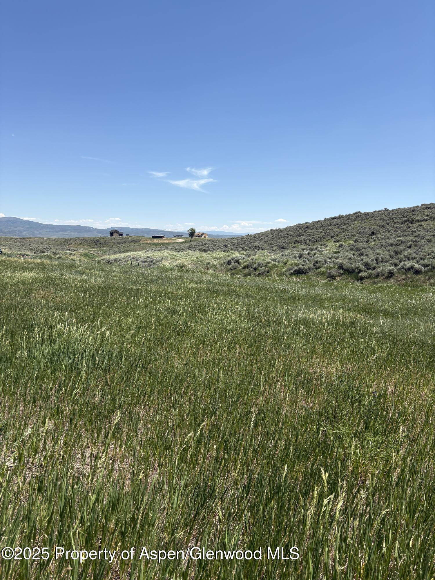 38300 Cattails Court Property Photo 3
