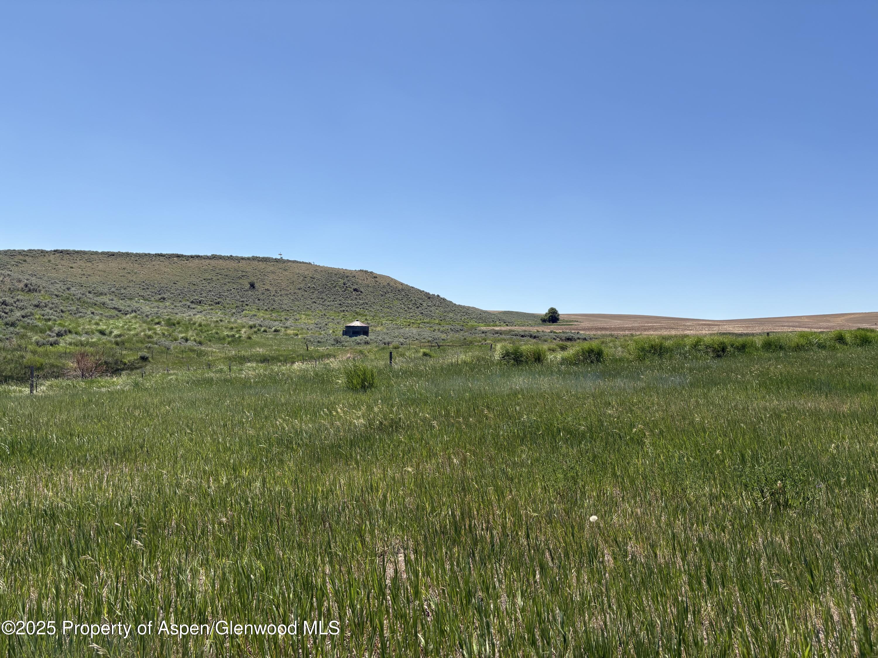 38300 Cattails Court Property Photo 4