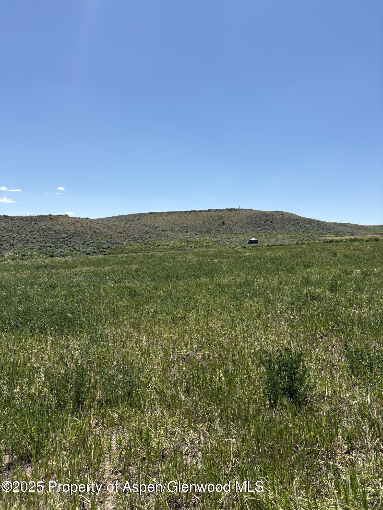 38300 Cattails Court Property Photo 6