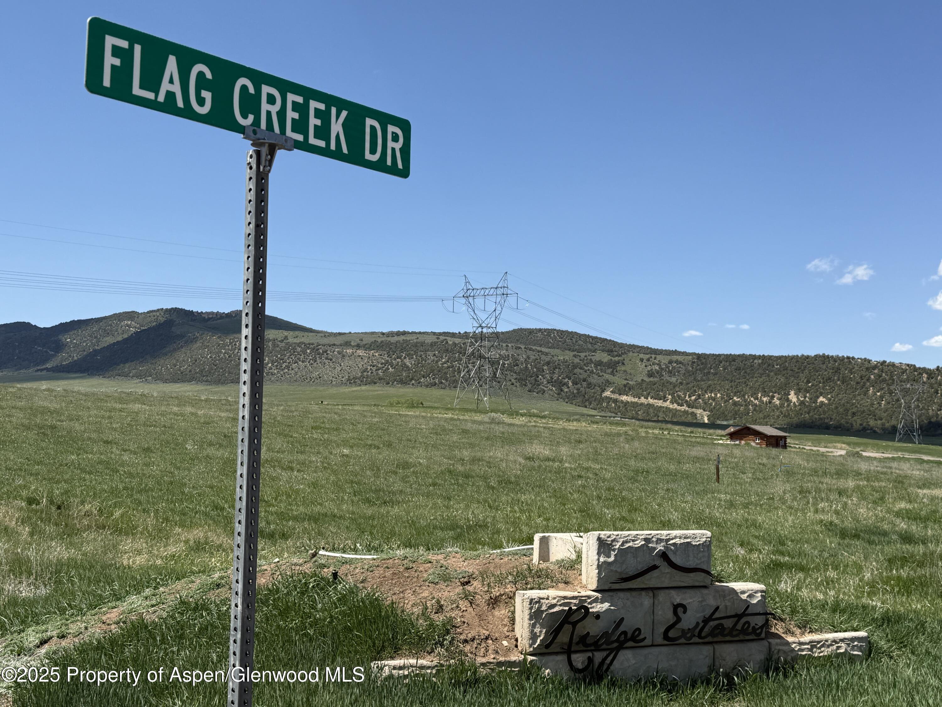 1000 Flag Creek Drive Property Photo 3