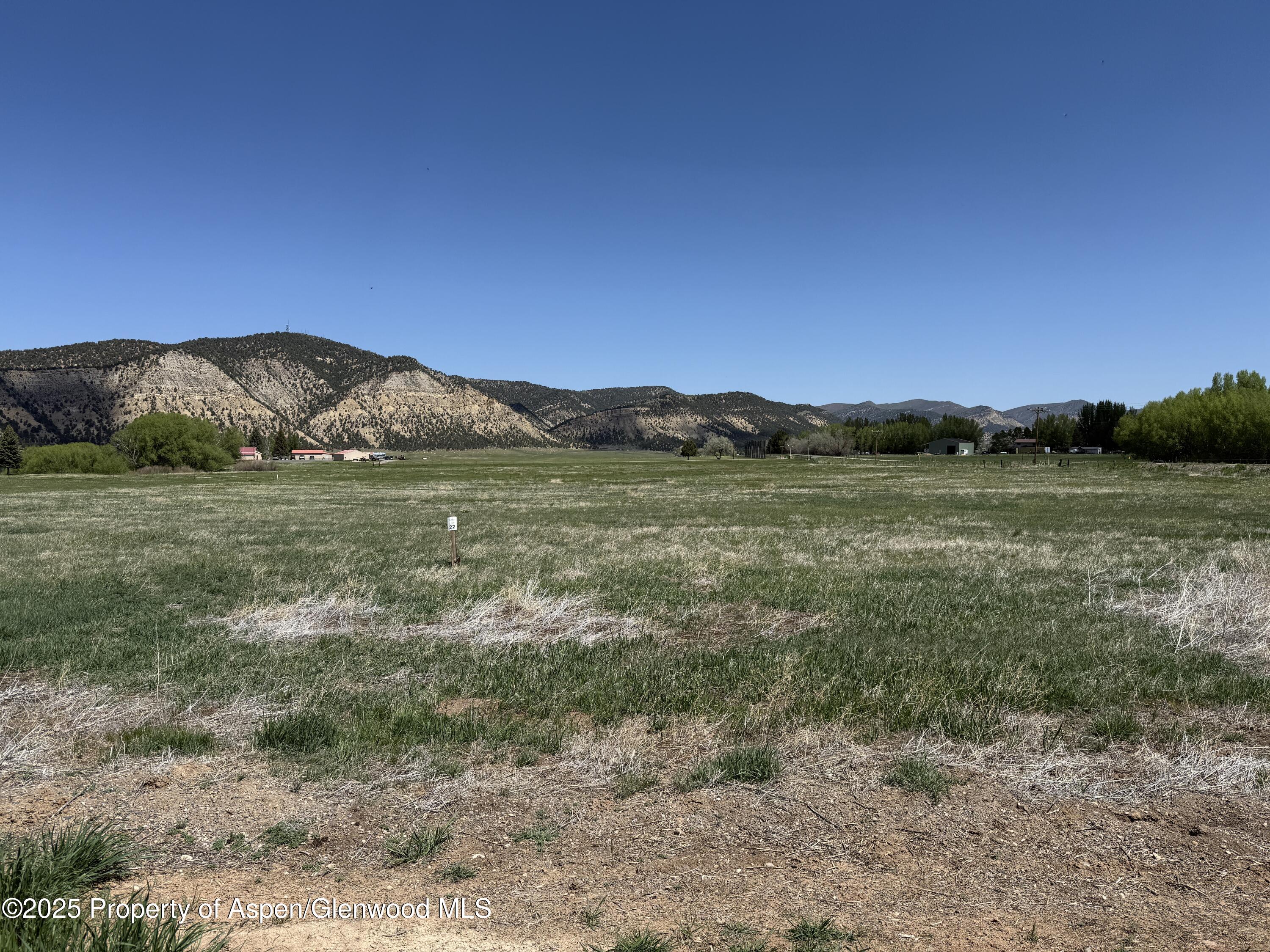 1000 Flag Creek Drive Property Photo 5