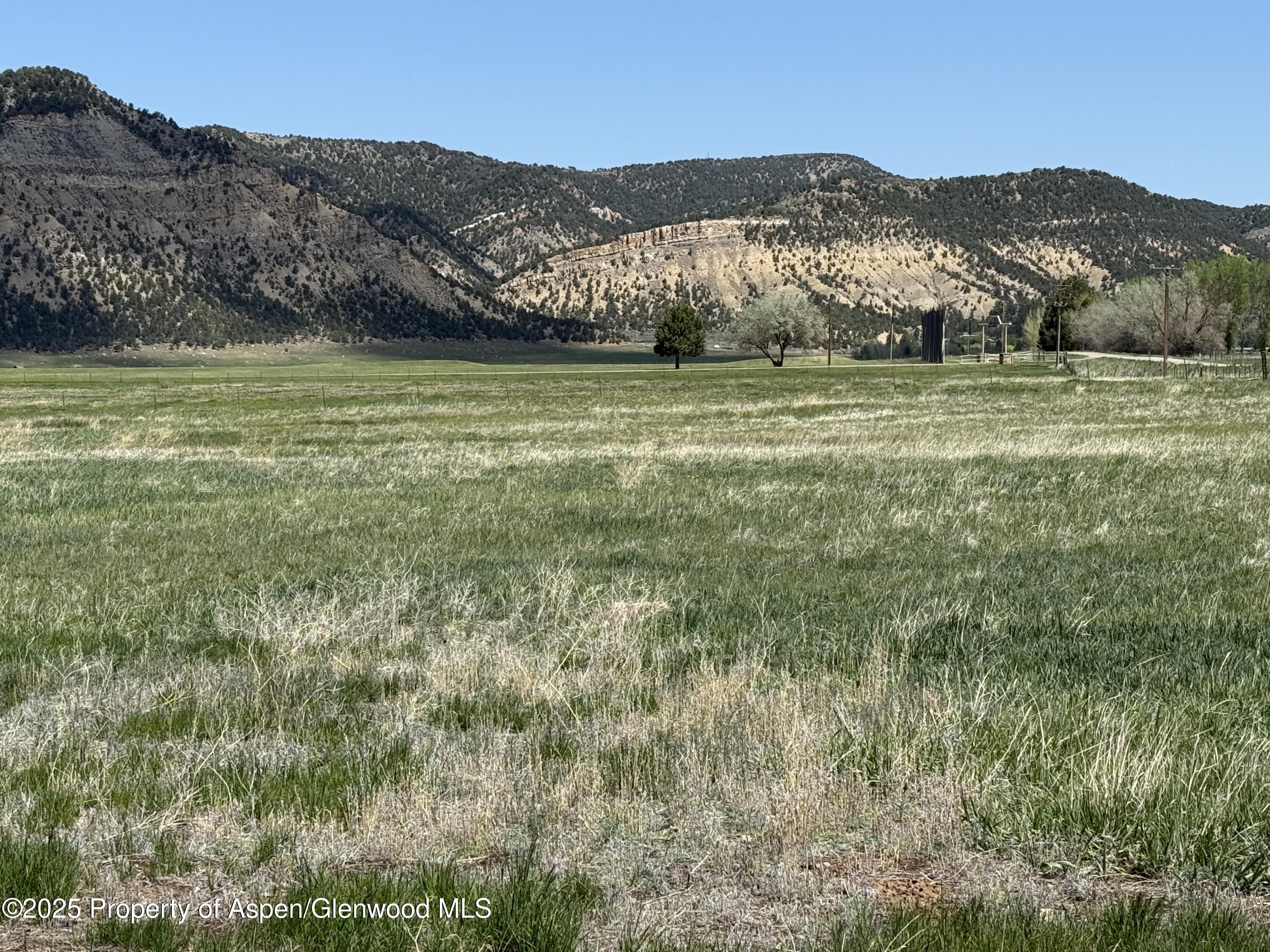 1000 Flag Creek Drive Property Photo 7