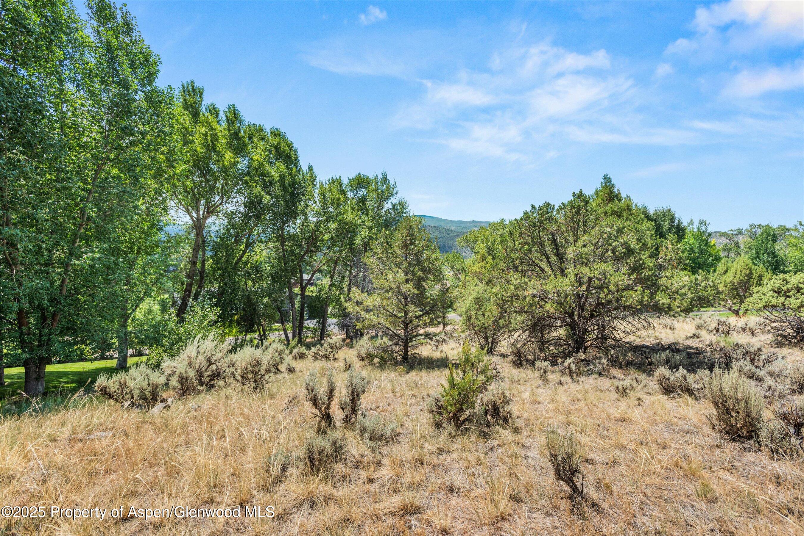 604 Larkspur Drive Property Photo 14