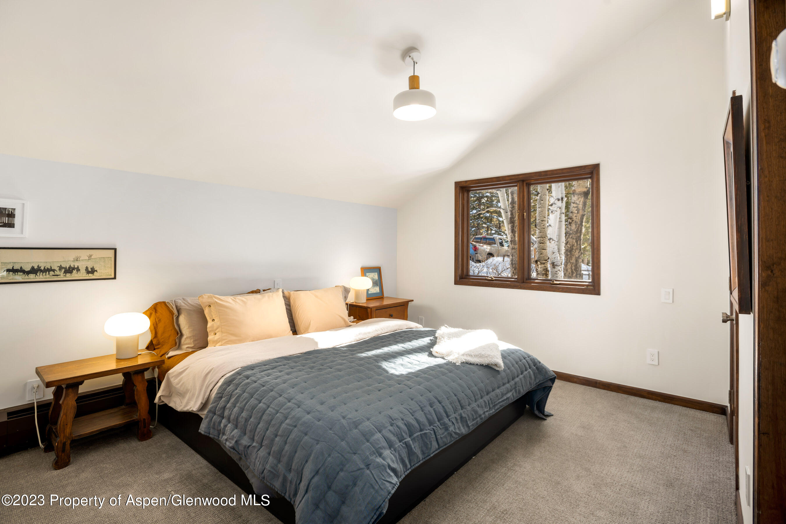 1036 Red Mountain Road Property Photo 13