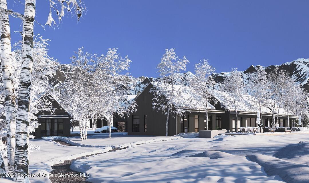 116 White Star Drive Property Photo 14