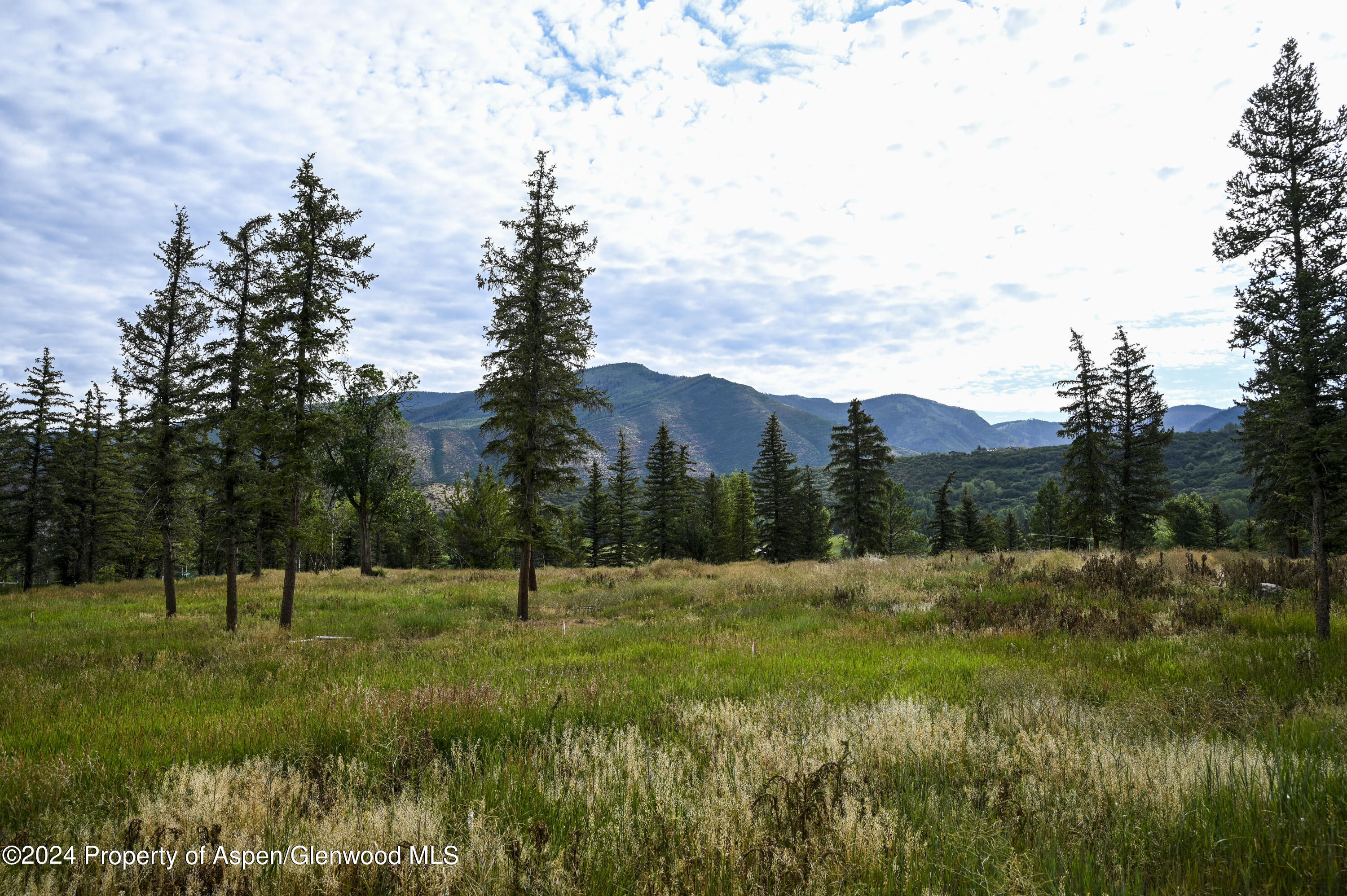116 White Star Drive Property Photo 20