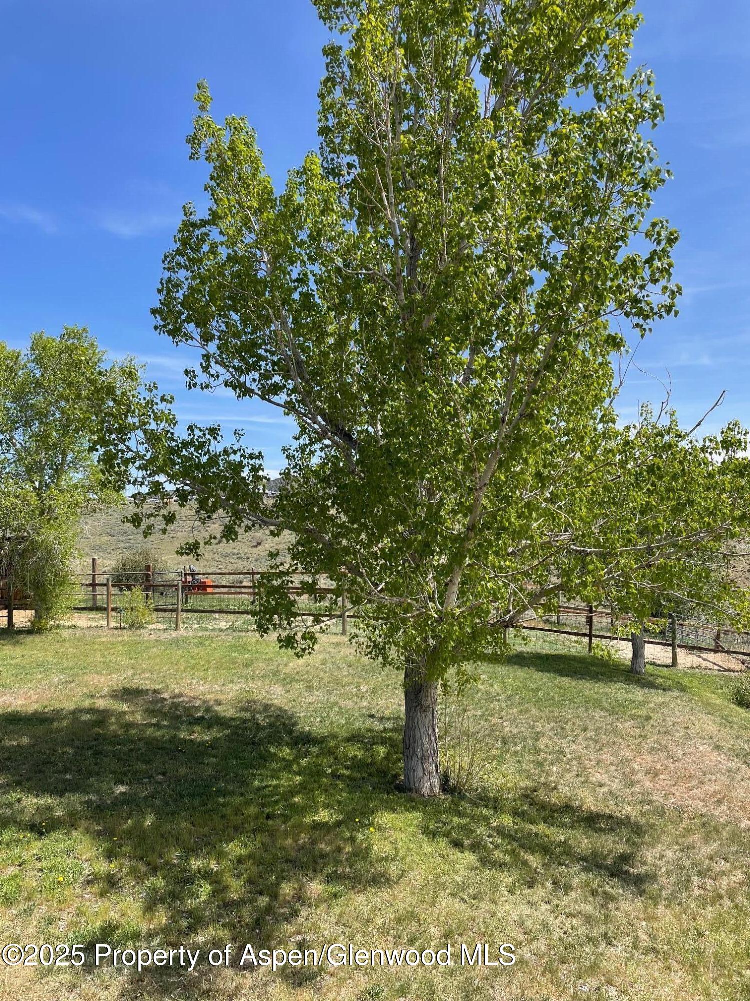 620 Ponderosa Pass Property Photo 54