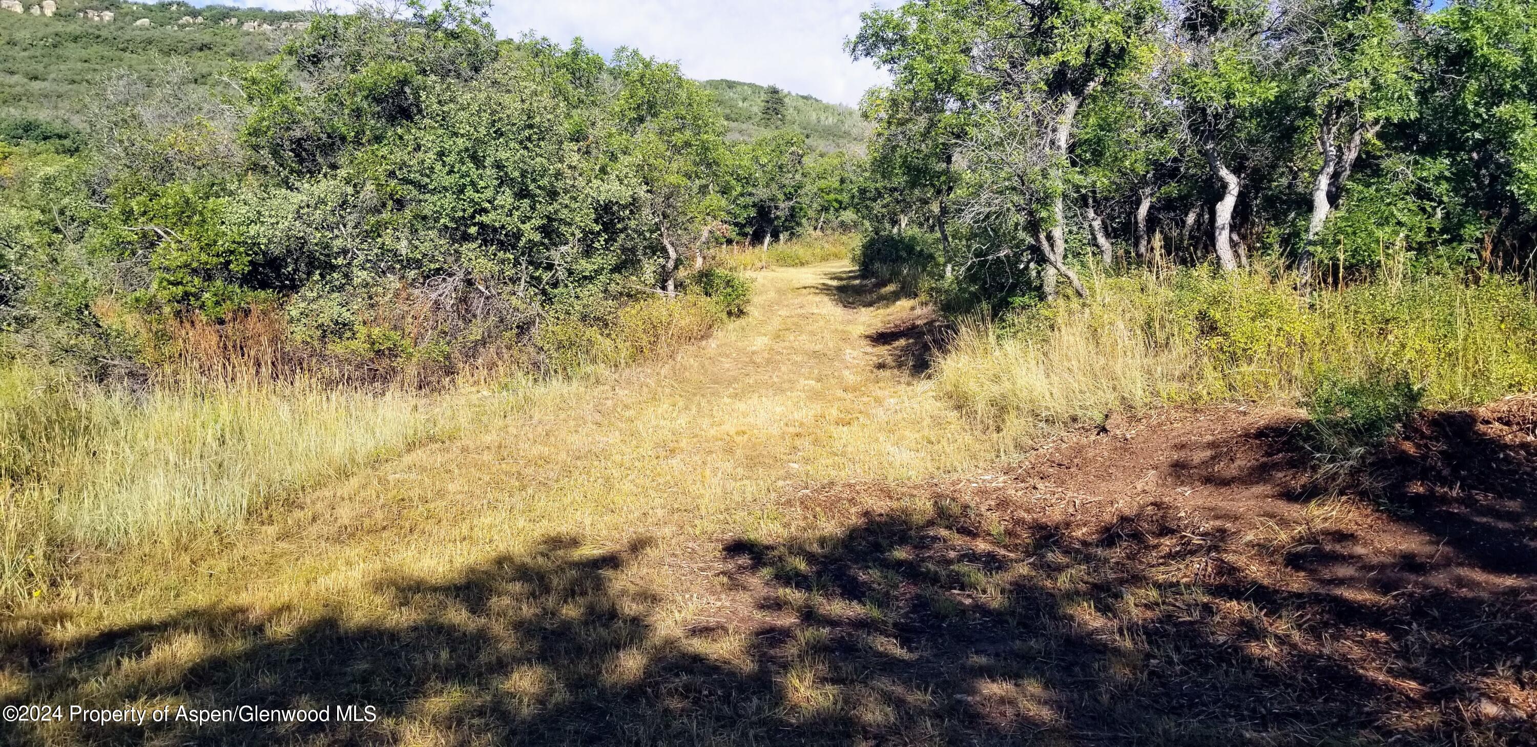 4500 Bear Wallow Lane Property Photo 4