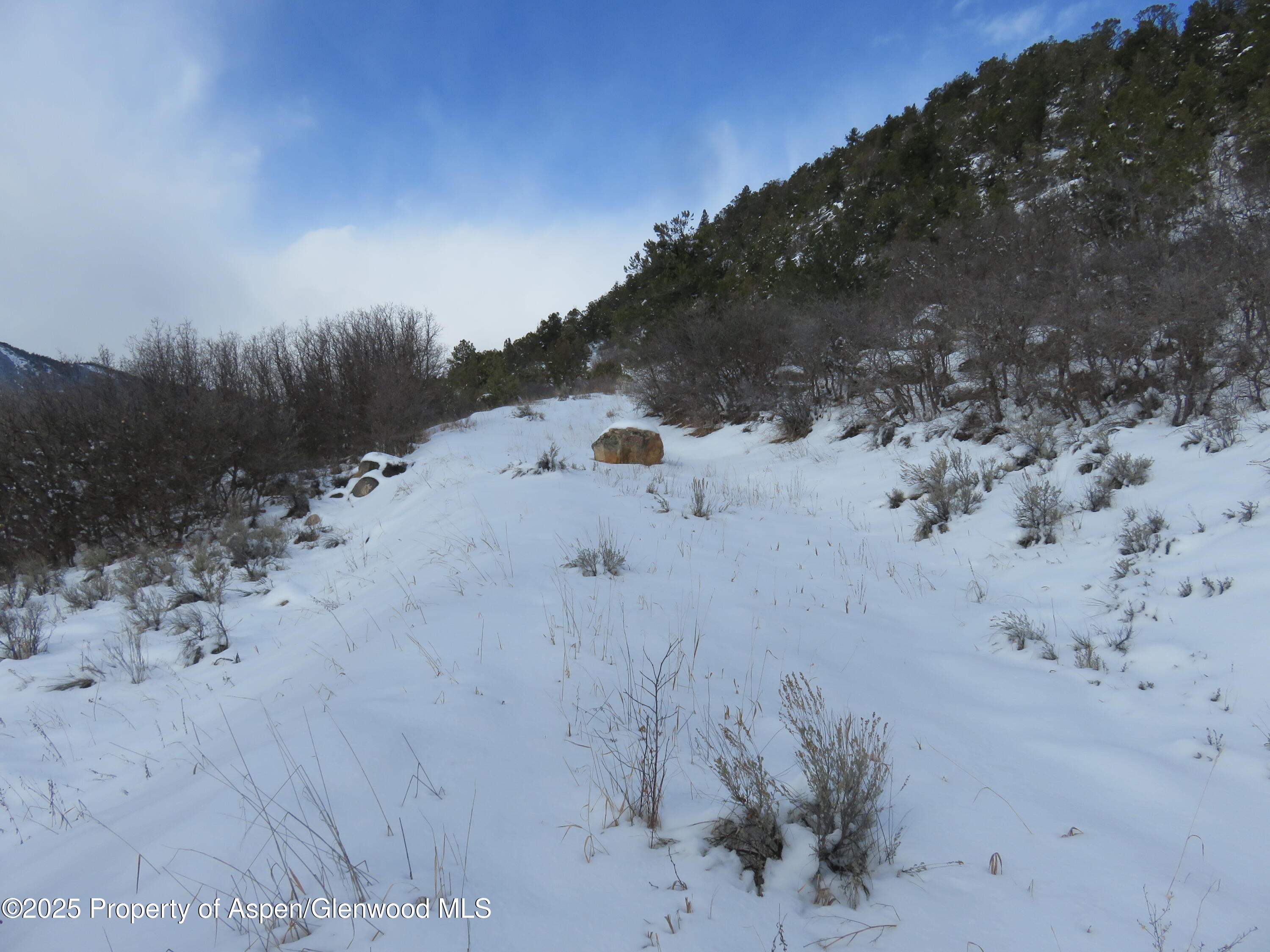 Tbd 117 County Road Property Photo 2