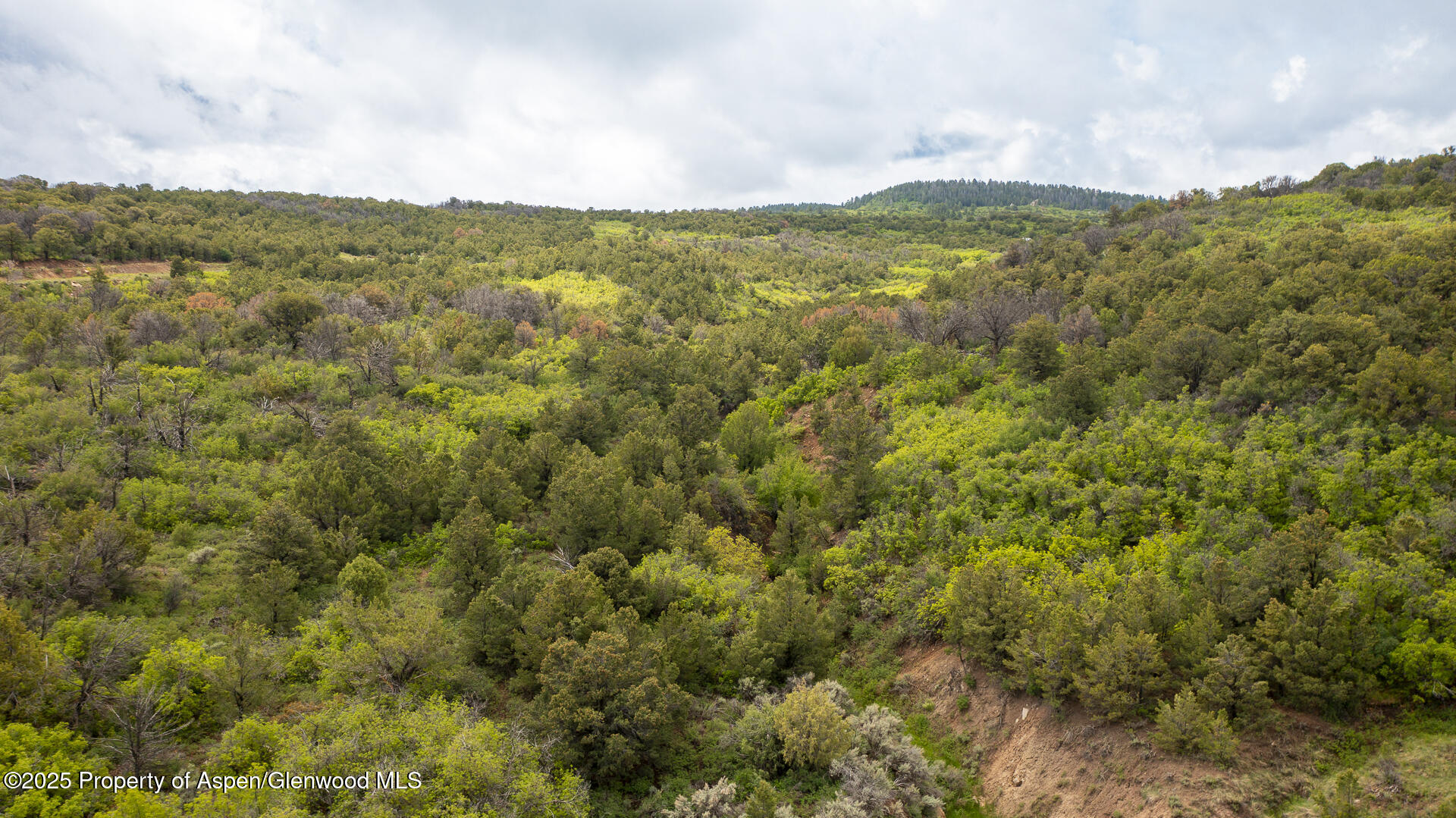 18973 Elk Reserve Road Property Photo 11