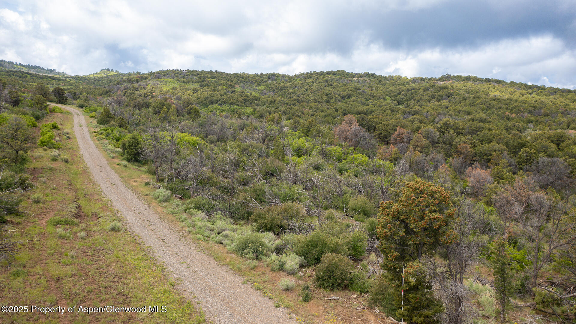 18973 Elk Reserve Road Property Photo 15