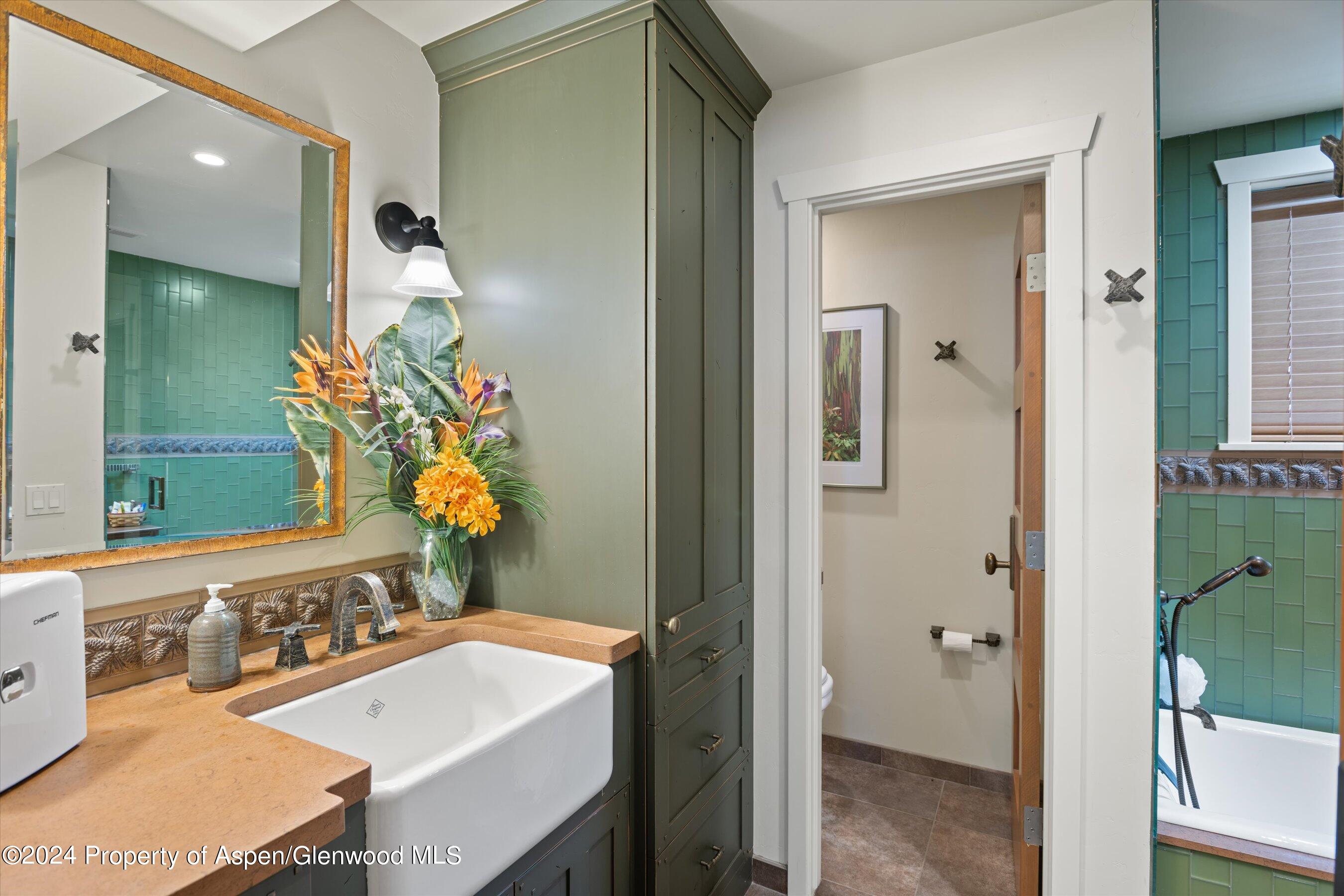 389 Elk Mountain Drive Property Photo 46