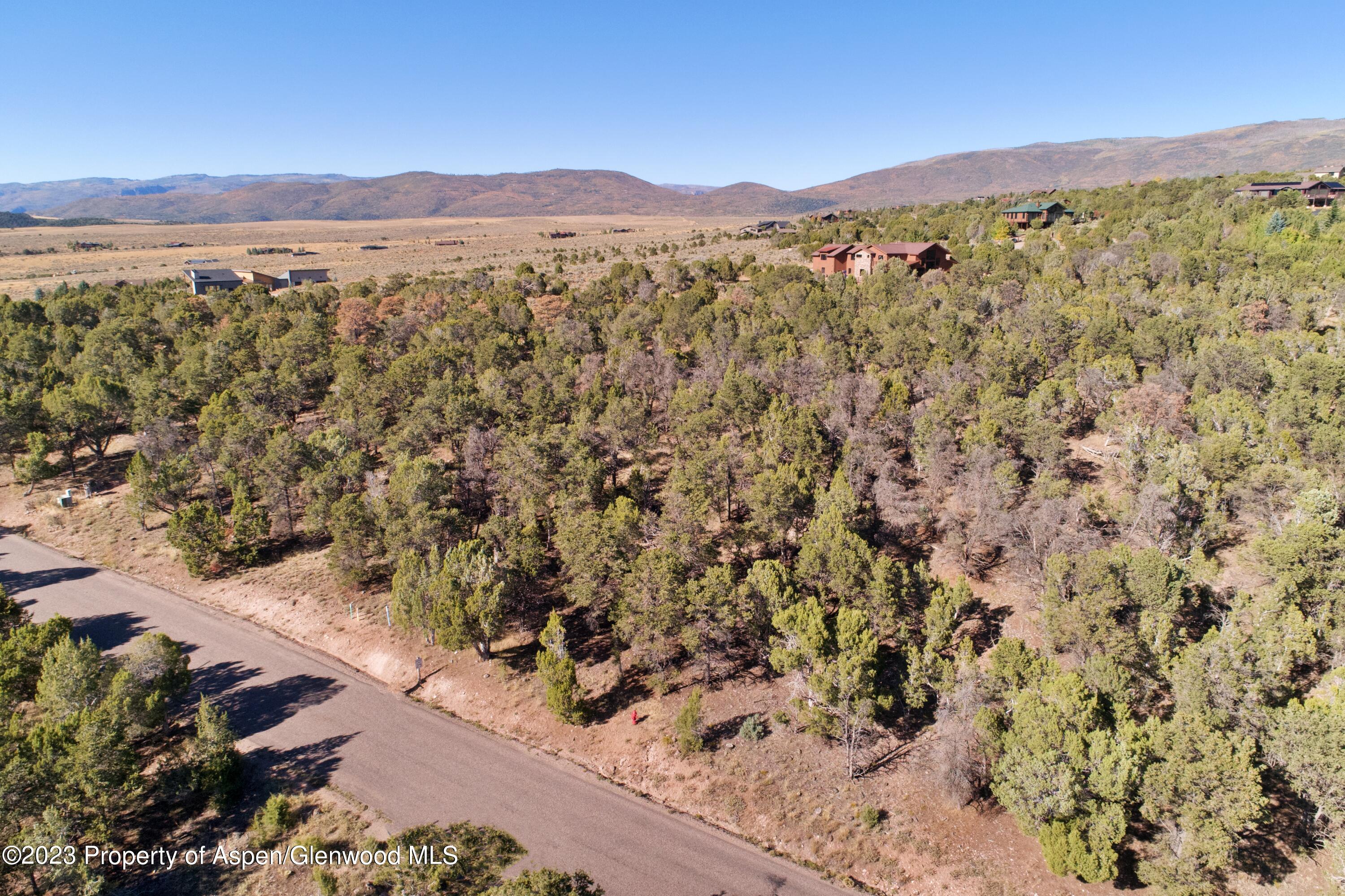 776 Elk Springs Drive Property Photo 11