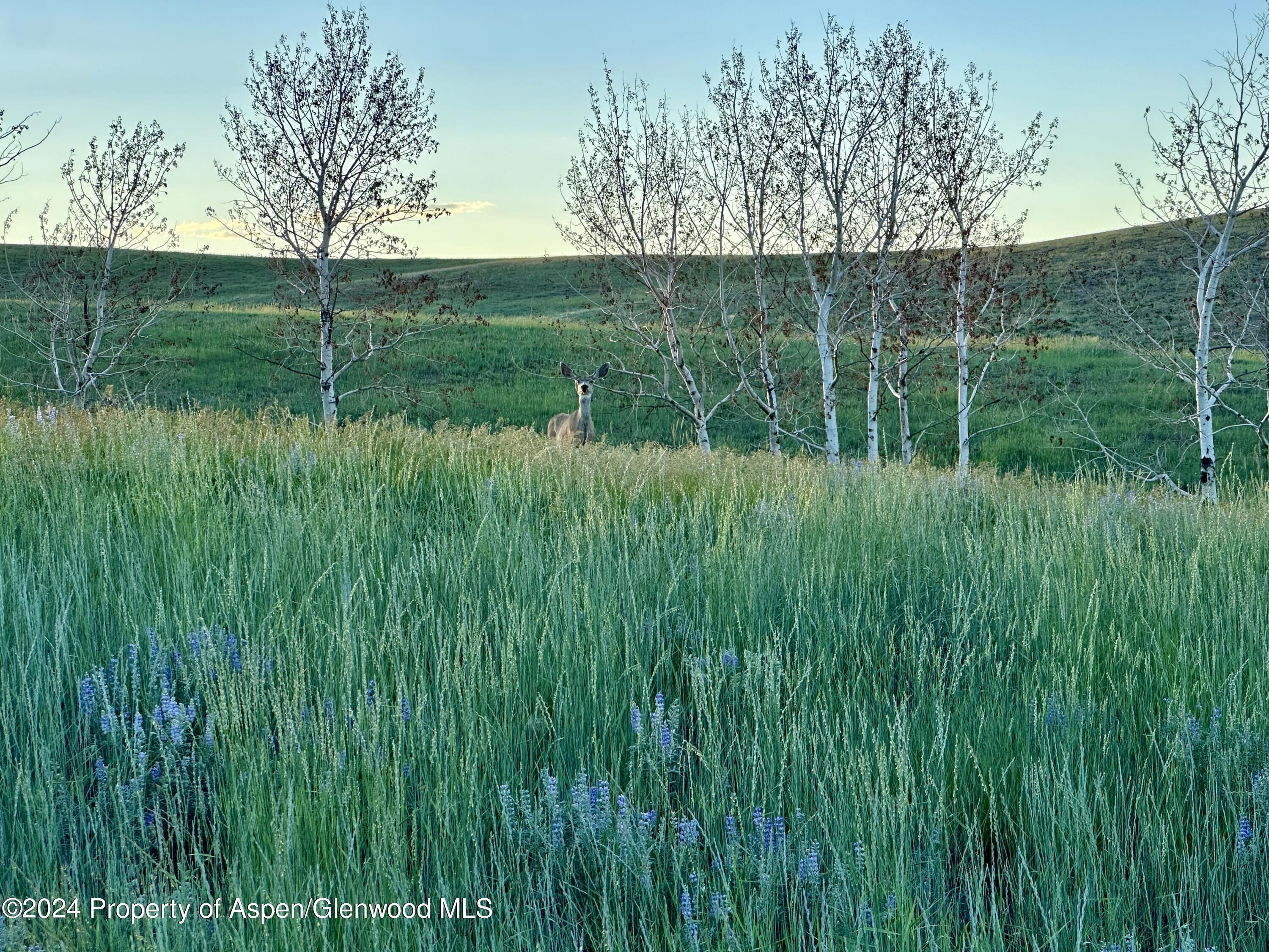 Tbd County Road 5 Property Photo 1