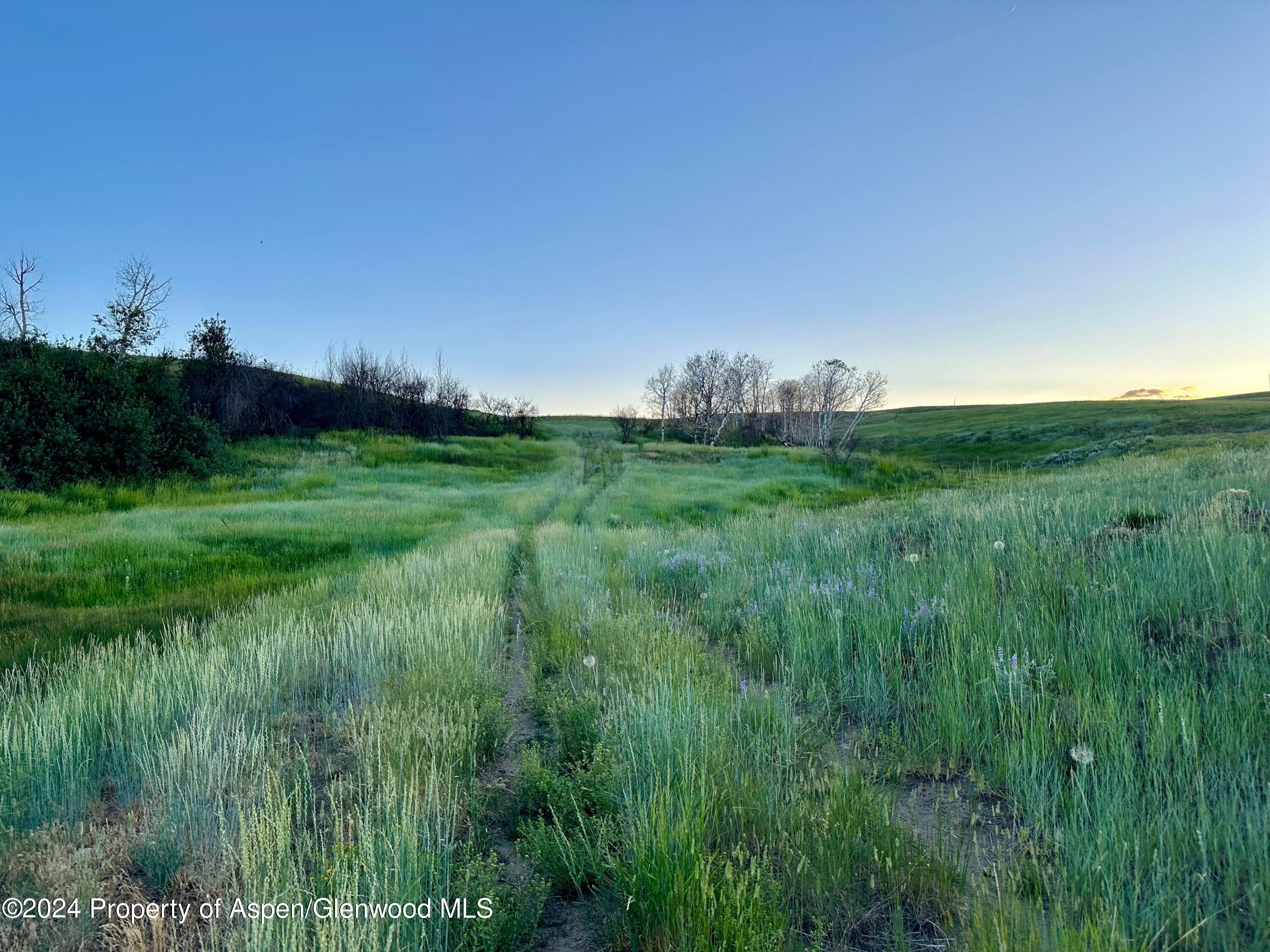Tbd County Road 5 Property Photo 2