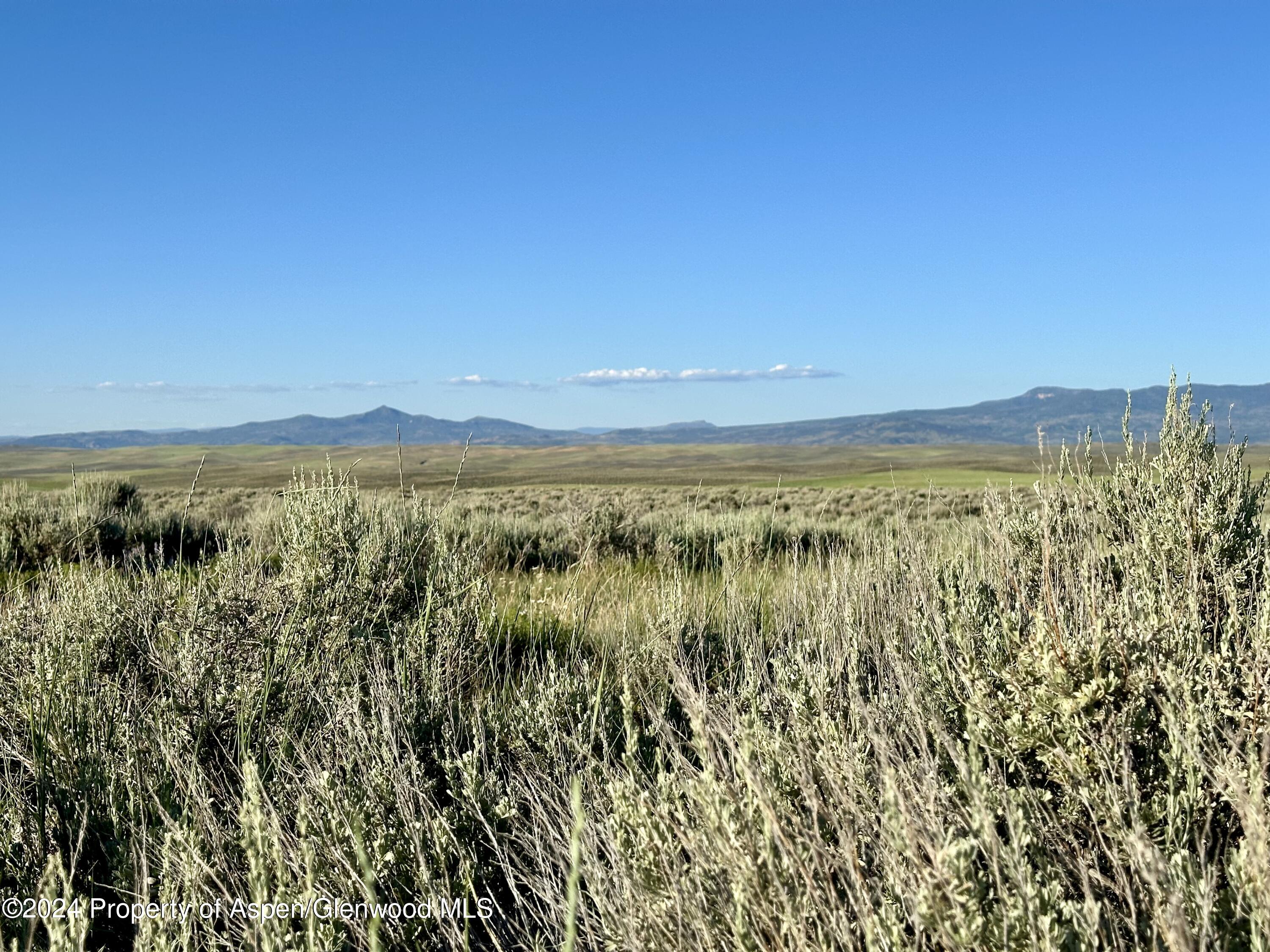 Tbd County Road 5 Property Photo 8