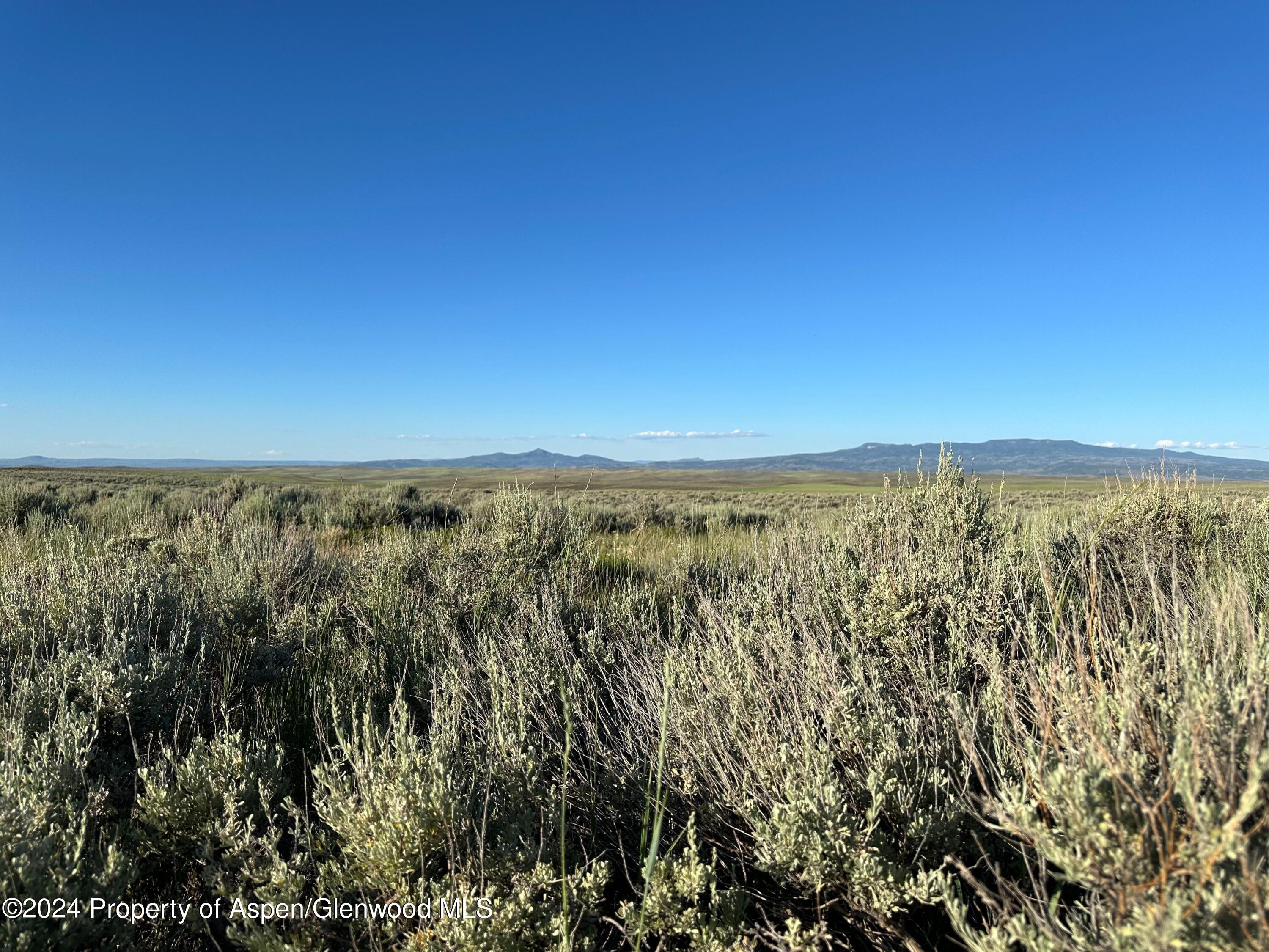 Tbd County Road 5 Property Photo 9