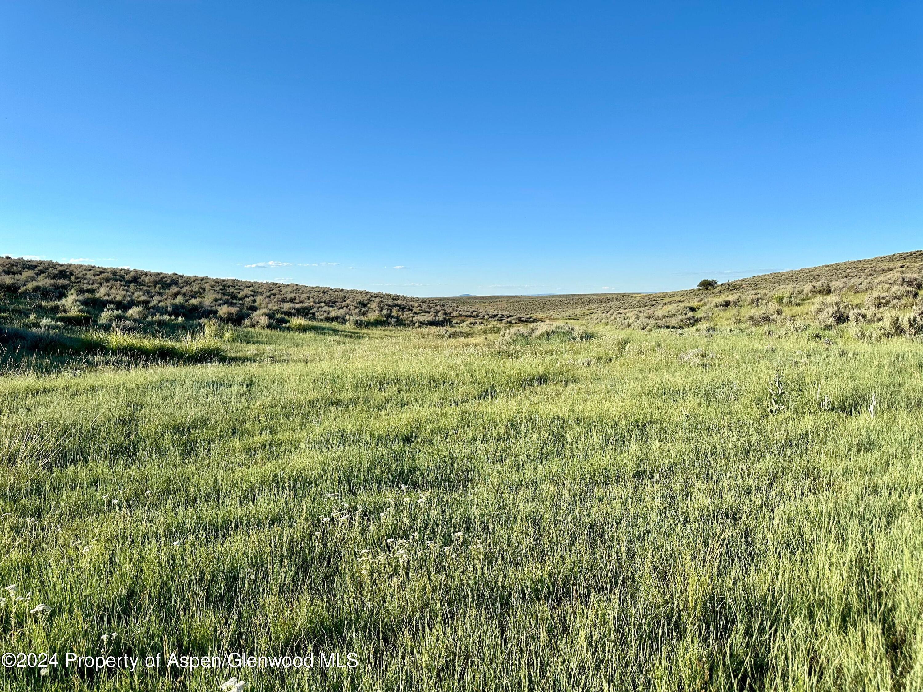 Tbd County Road 5 Property Photo 10