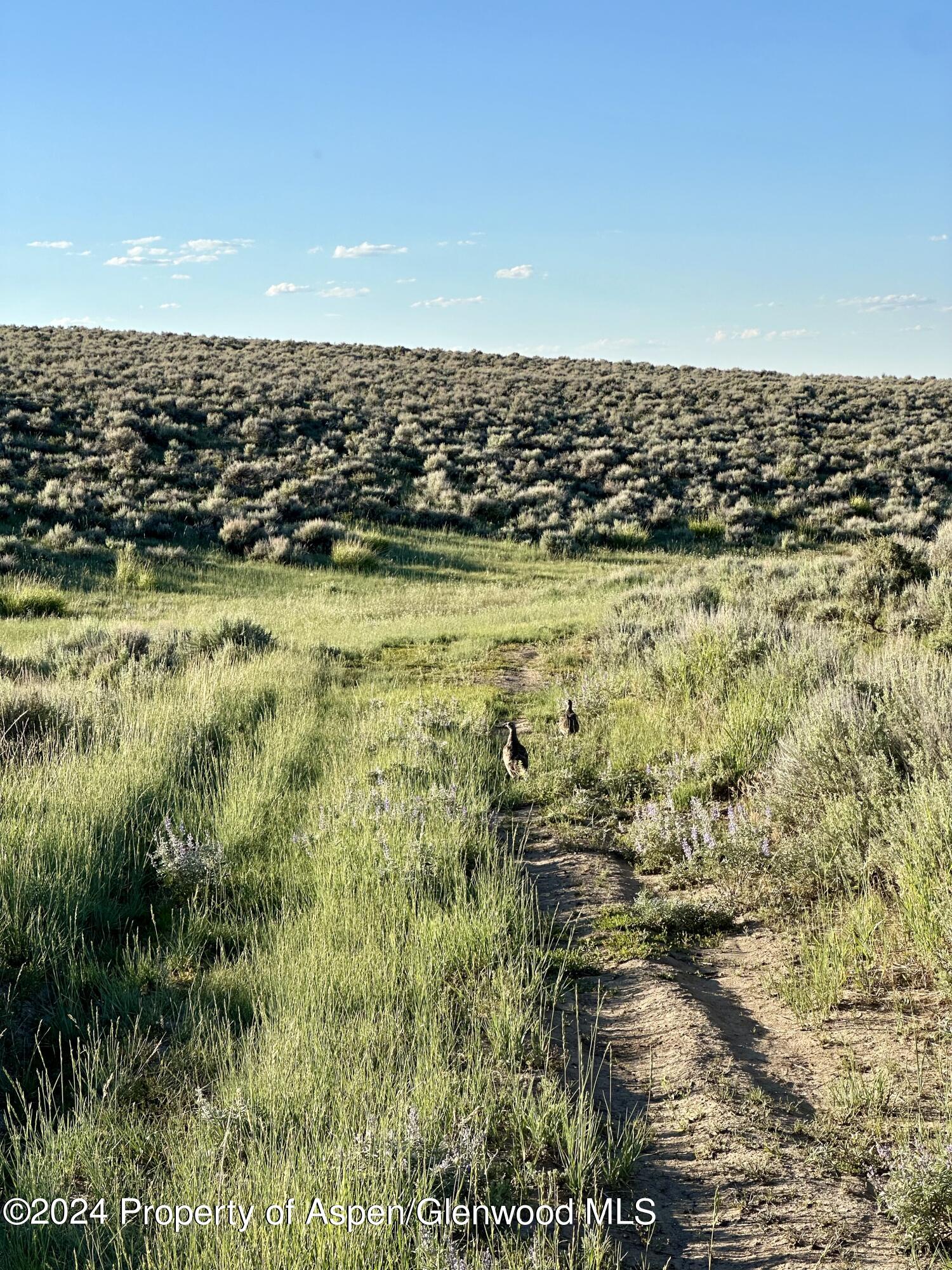 Tbd County Road 5 Property Photo 11
