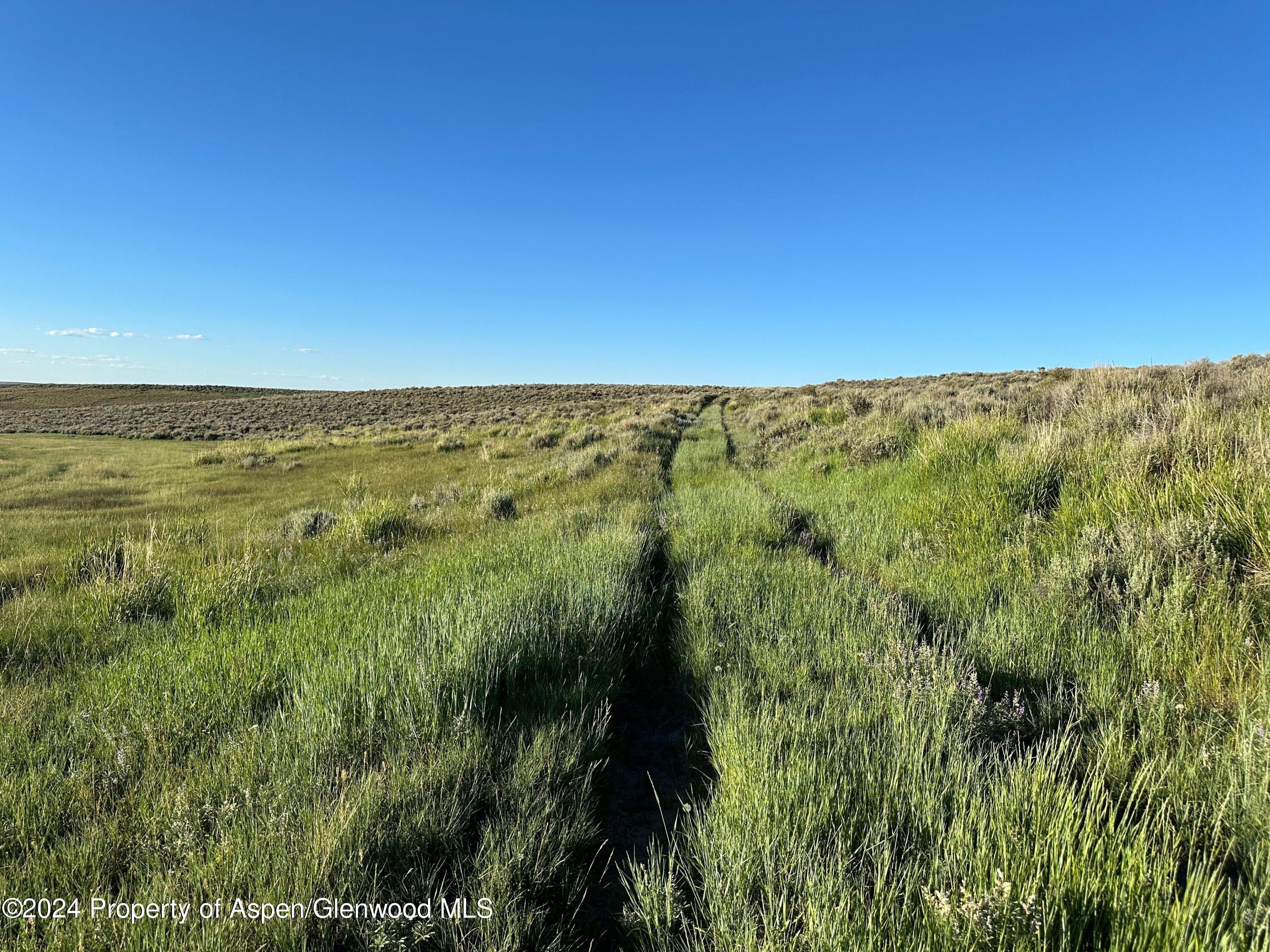 Tbd County Road 5 Property Photo 12