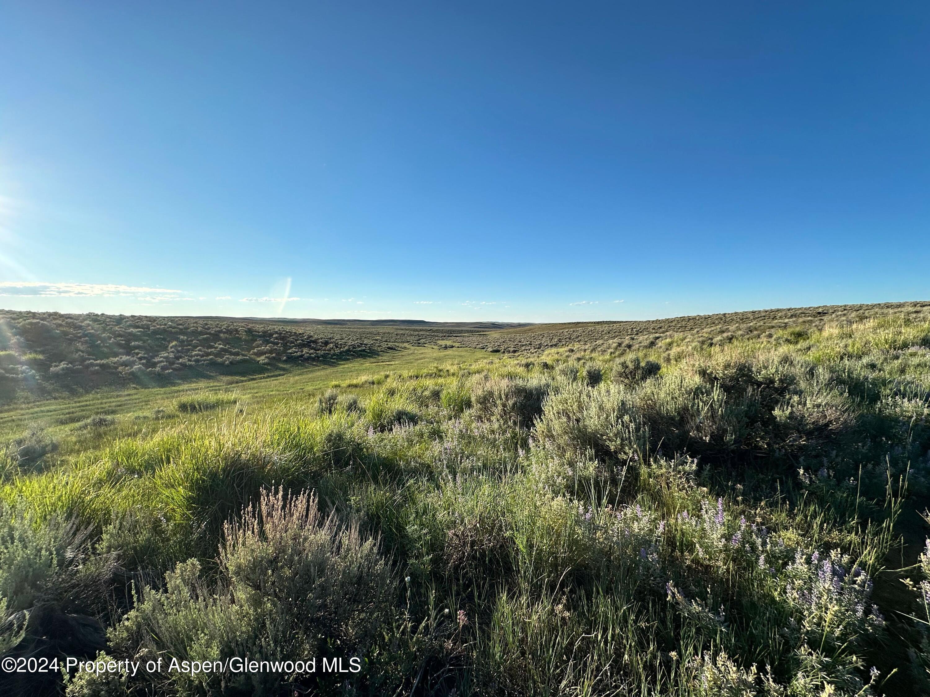 Tbd County Road 5 Property Photo 13