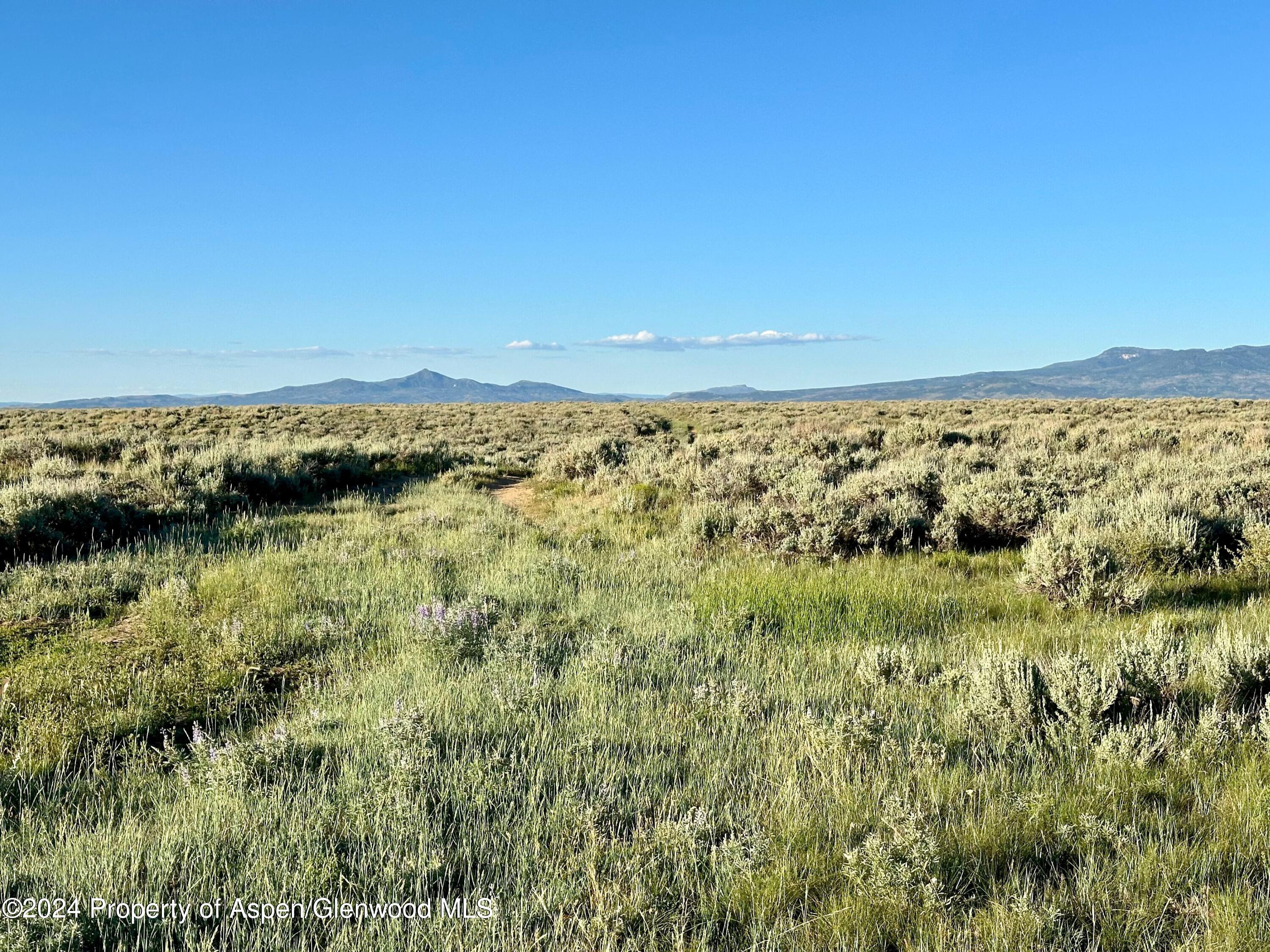 Tbd County Road 5 Property Photo 14