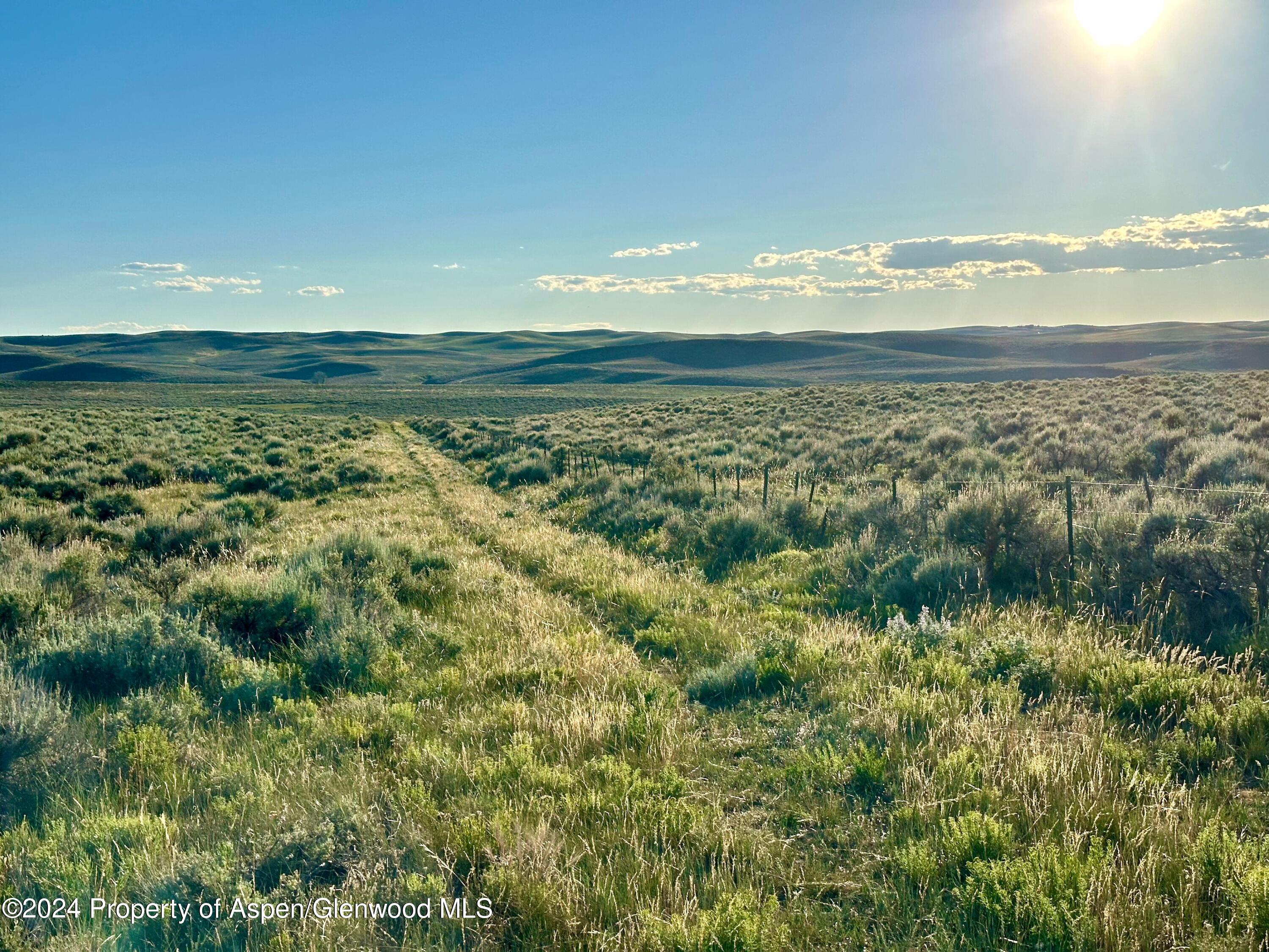Tbd County Road 5 Property Photo 15