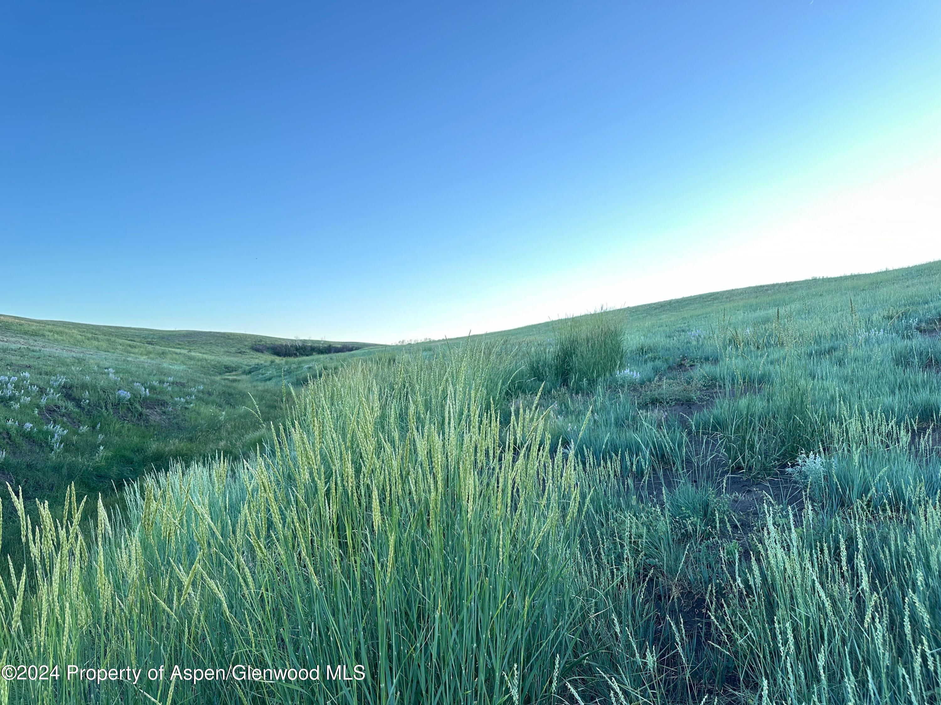 Tbd County Road 5 Property Photo 23