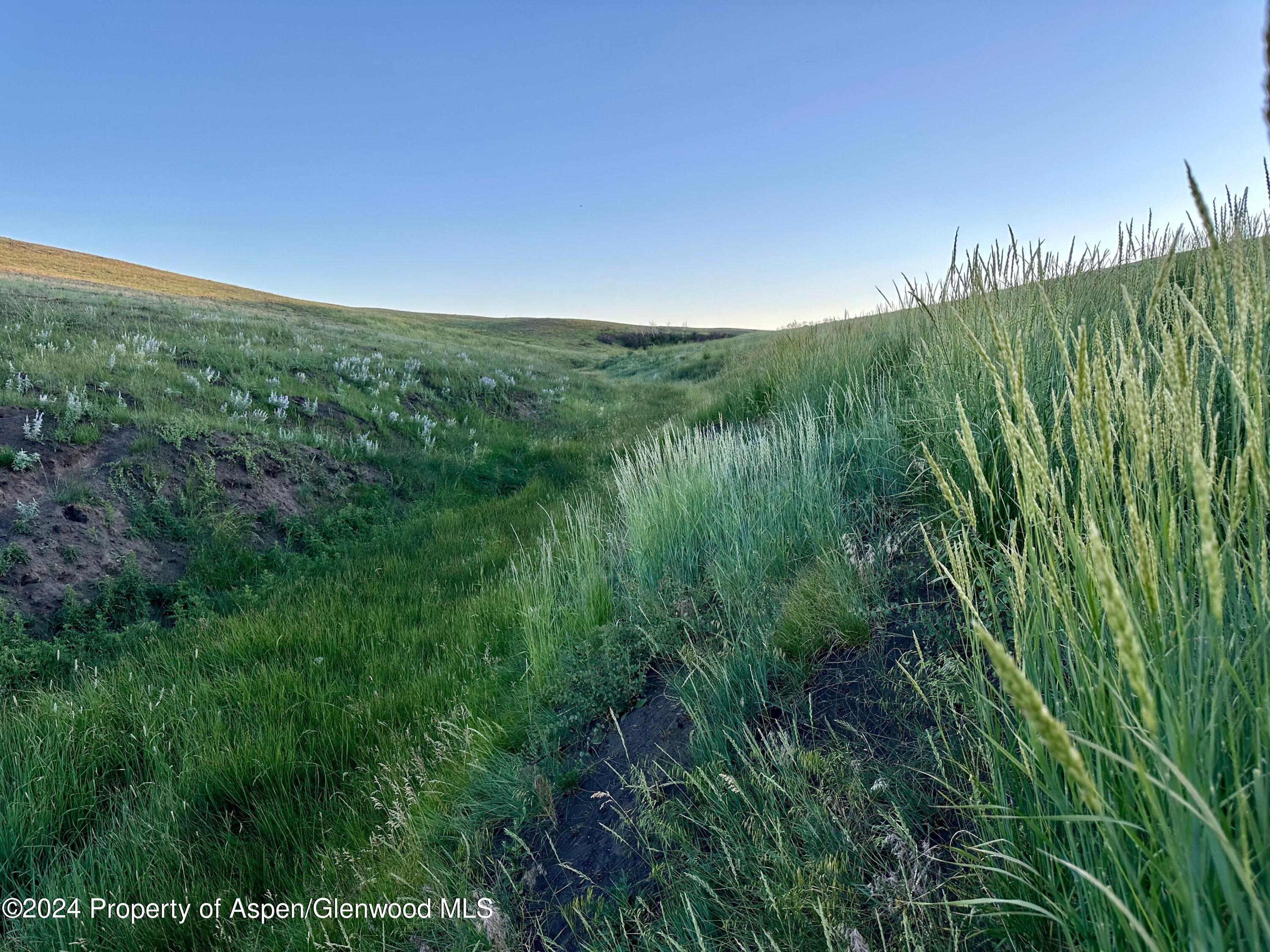 Tbd County Road 5 Property Photo 24