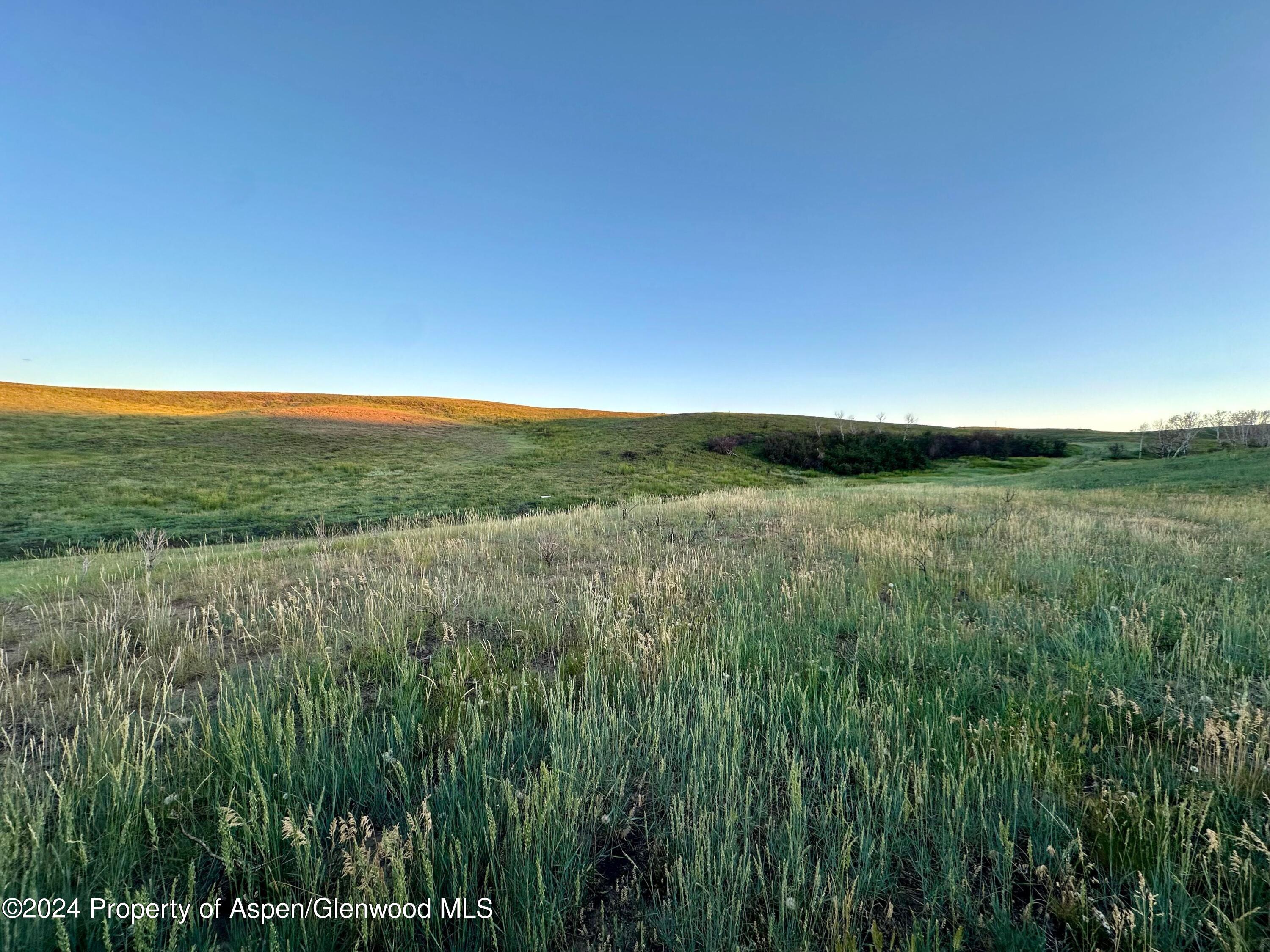 Tbd County Road 5 Property Photo 25
