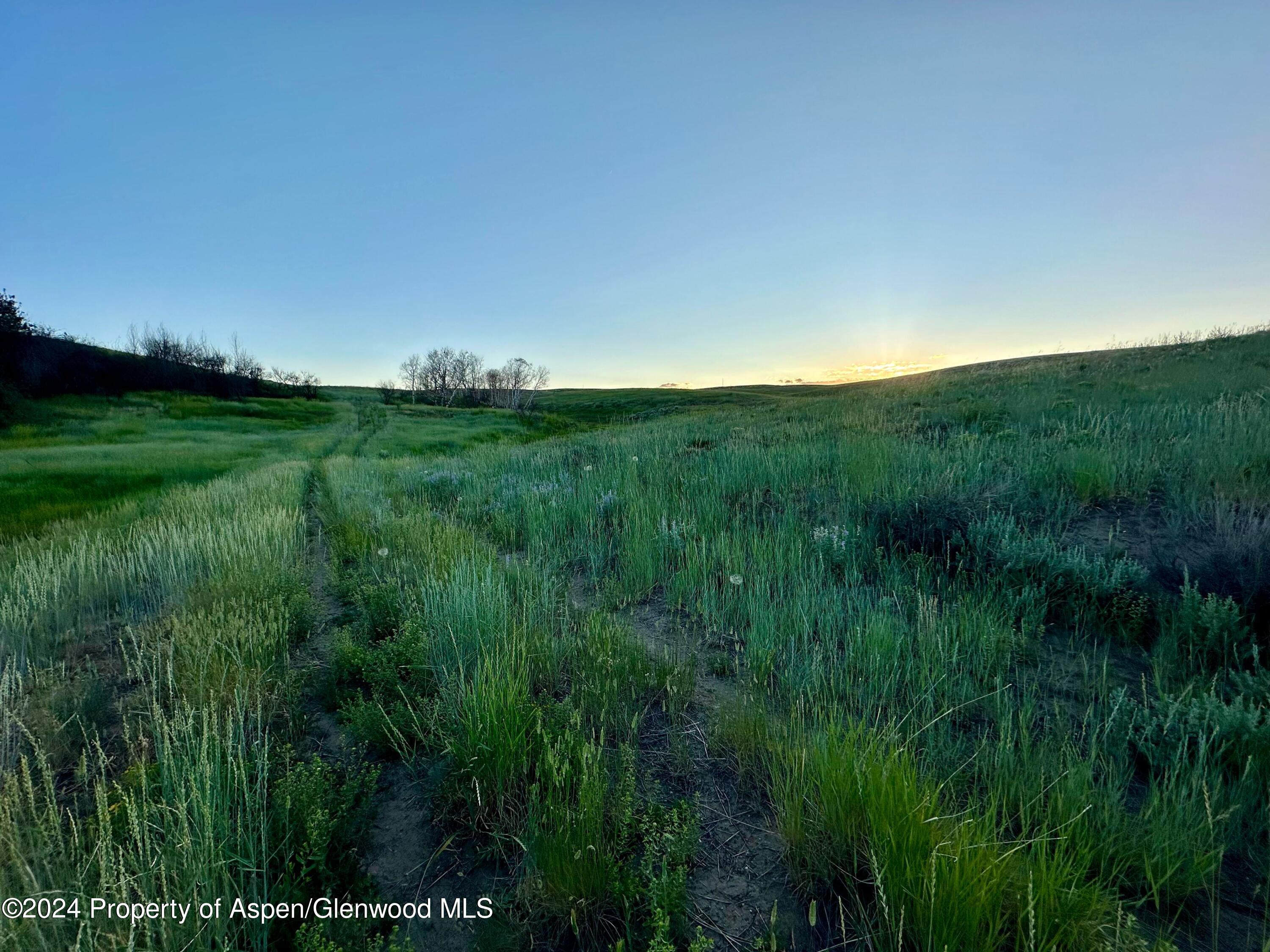 Tbd County Road 5 Property Photo 27