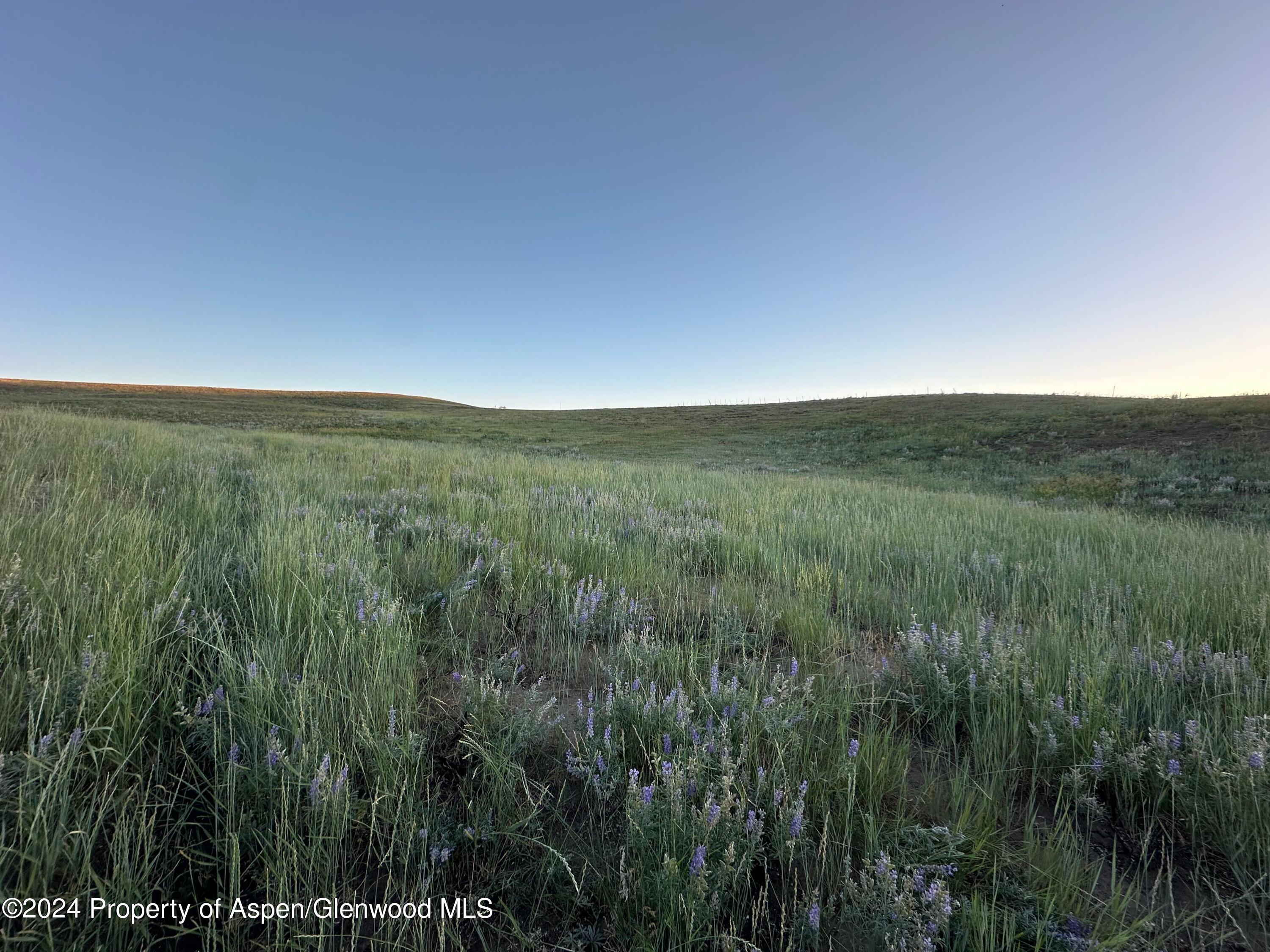 Tbd County Road 5 Property Photo 28