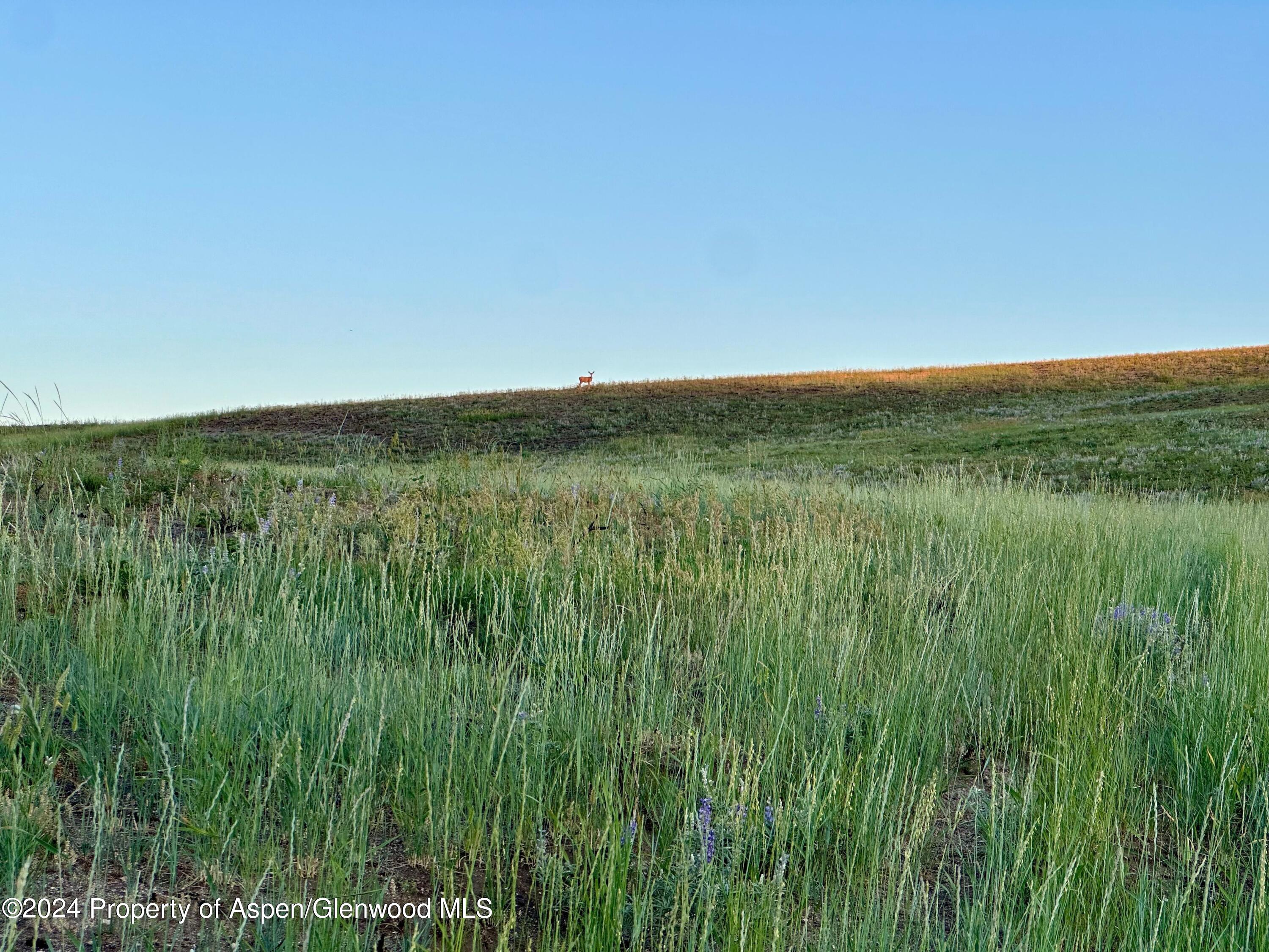 Tbd County Road 5 Property Photo 29