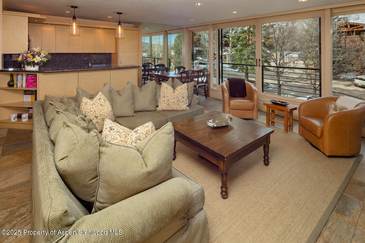 728 S Galena Street, 101-b Property Photo 6