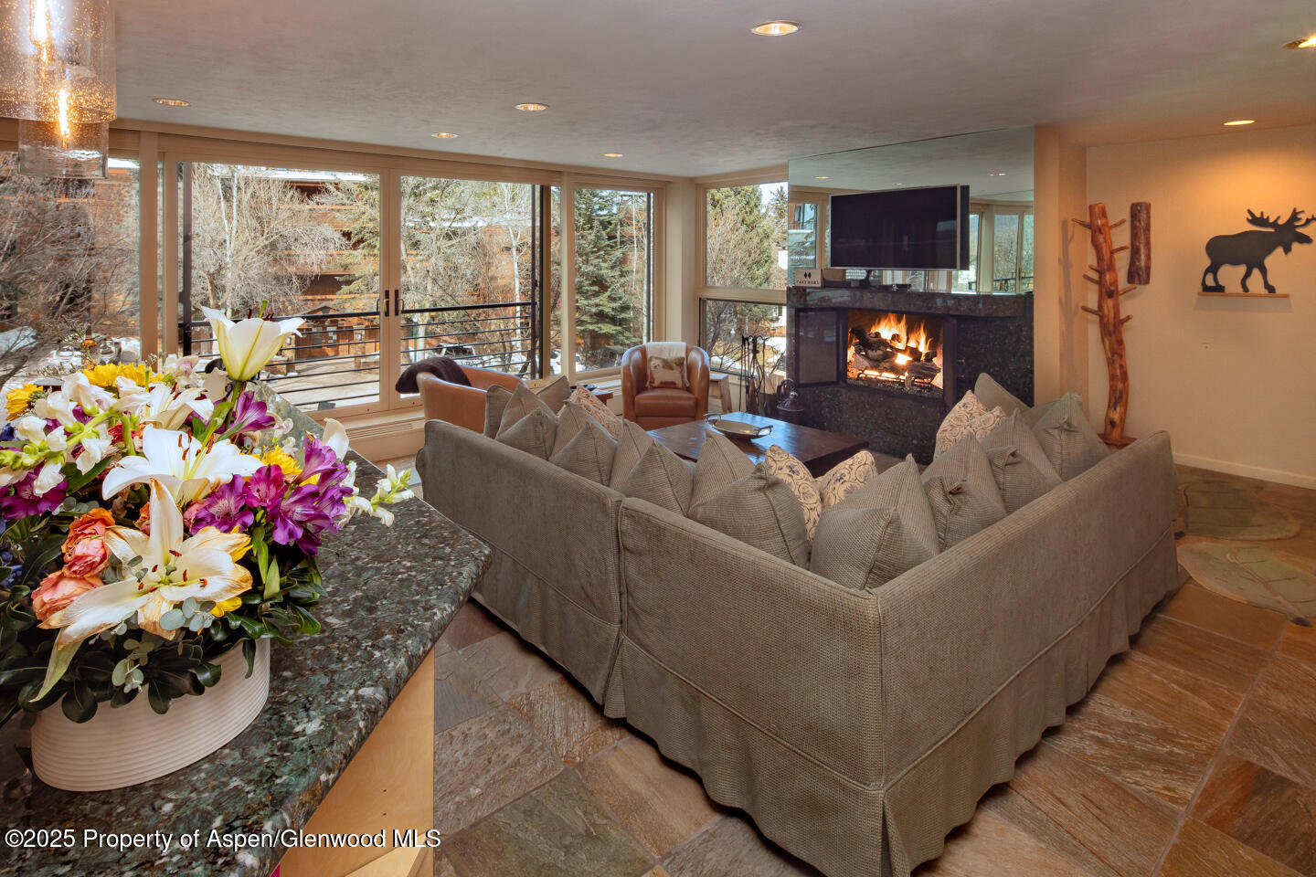 728 S Galena Street, 101-b Property Photo 7