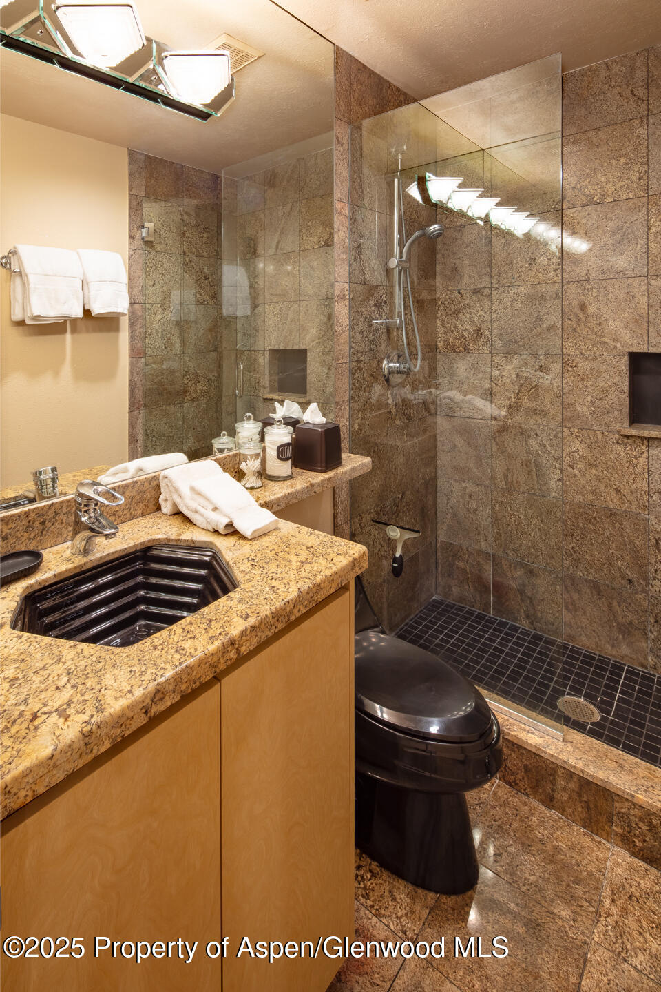 728 S Galena Street, 101-b Property Photo 10