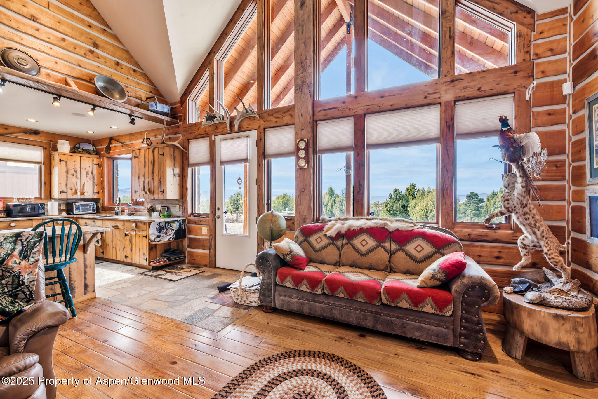 76 County Road 60b Property Photo 12